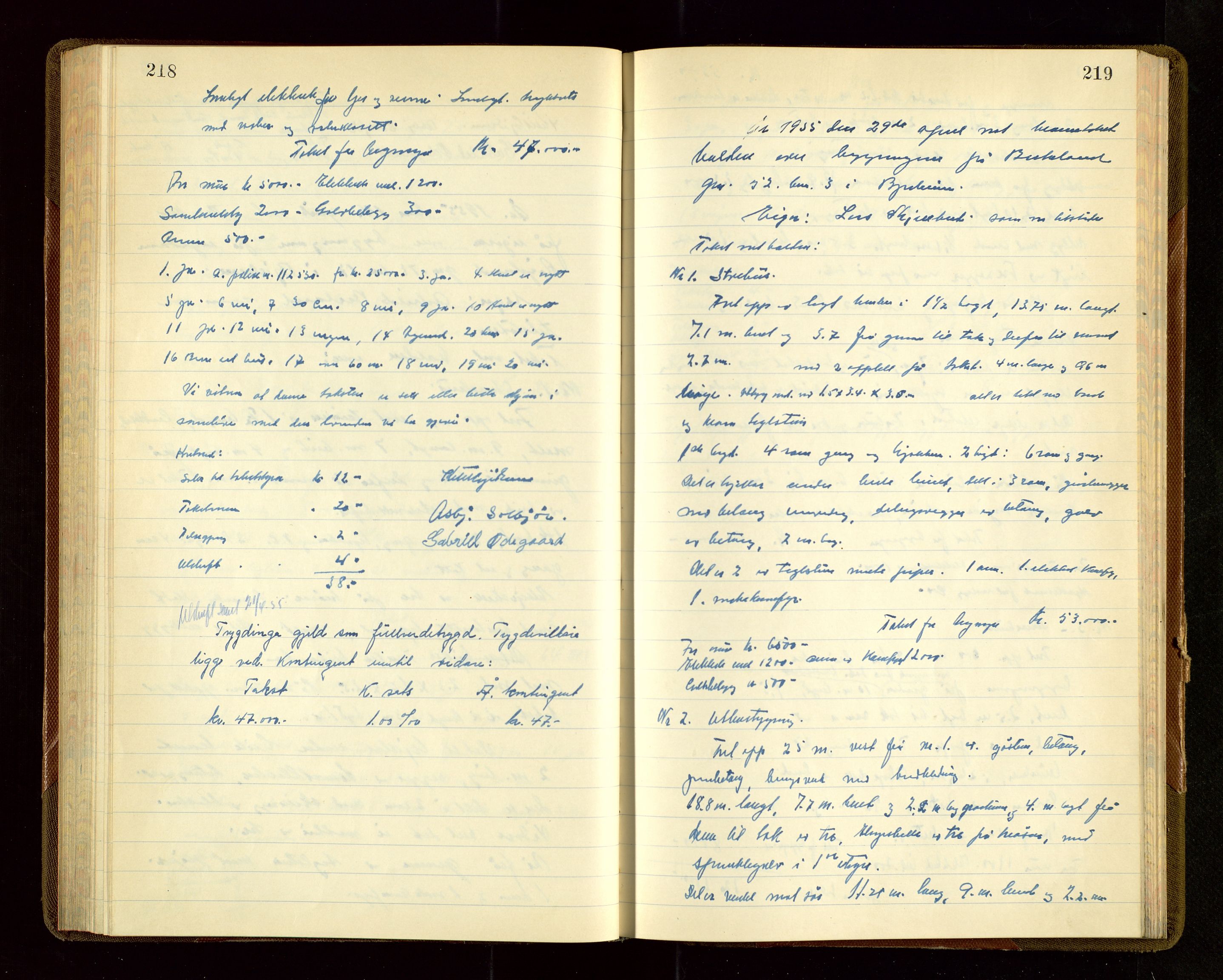 Bjerkreim lensmannskontor, AV/SAST-A-100090/Goa/L0003: Branntakstprotokoll, 1952-1955, p. 218-219