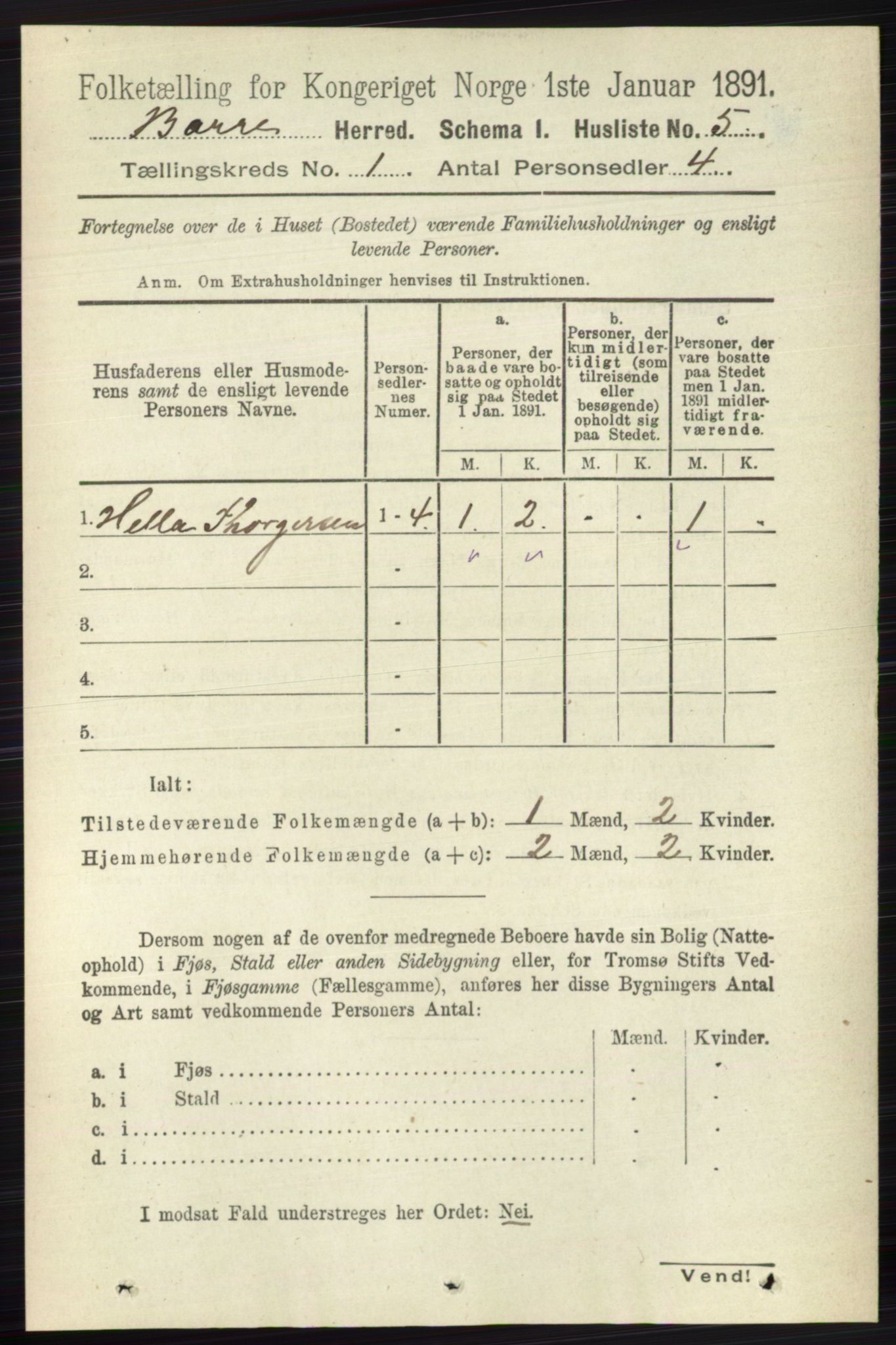 RA, 1891 census for 0717 Borre, 1891, p. 29