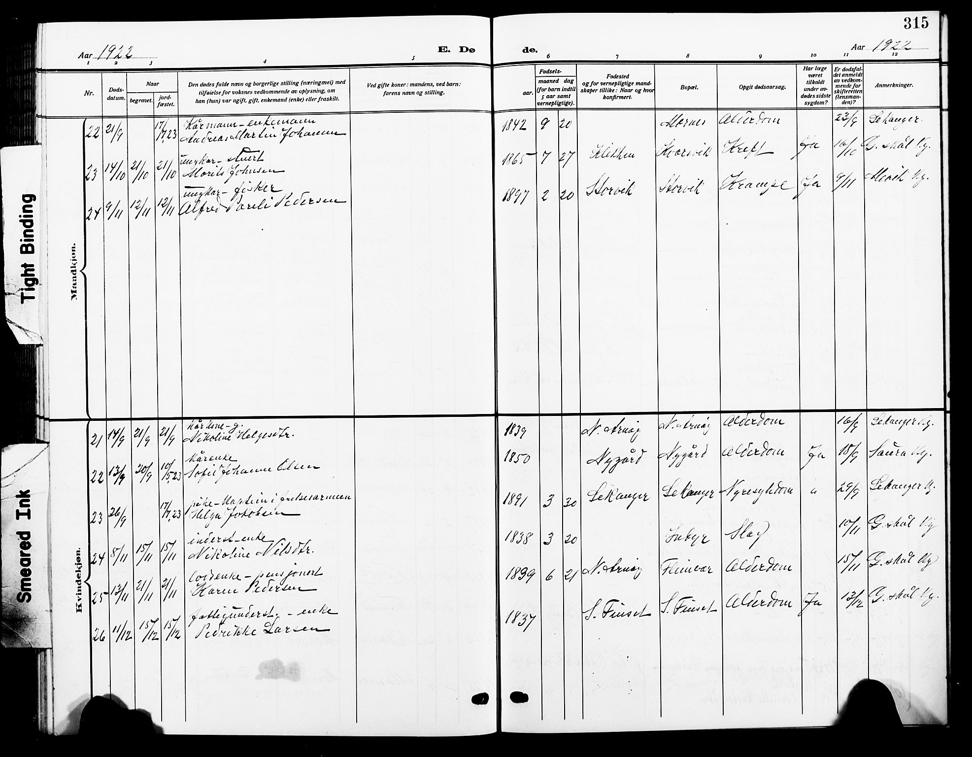 Ministerialprotokoller, klokkerbøker og fødselsregistre - Nordland, AV/SAT-A-1459/805/L0110: Parish register (copy) no. 805C06, 1909-1924, p. 315