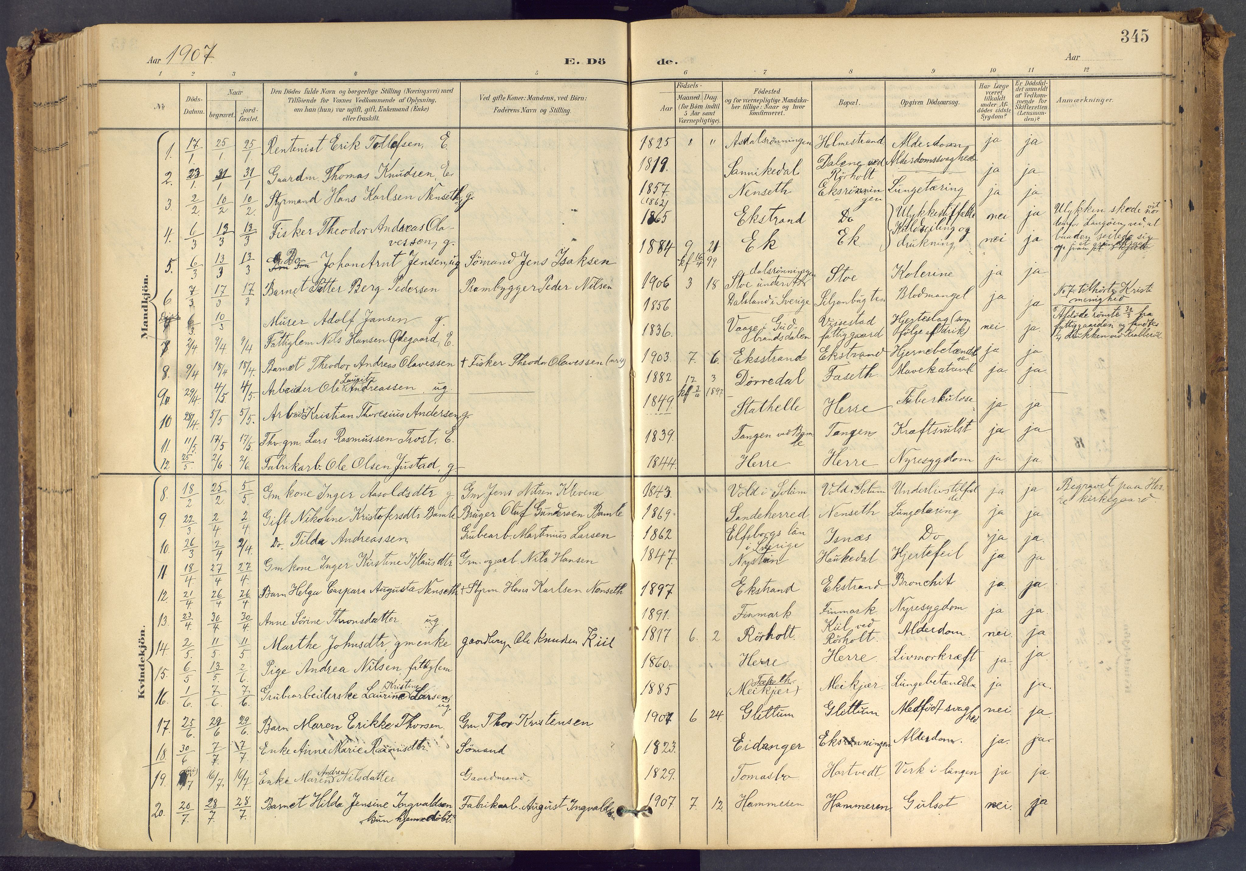 Bamble kirkebøker, SAKO/A-253/F/Fa/L0009: Parish register (official) no. I 9, 1901-1917, p. 345