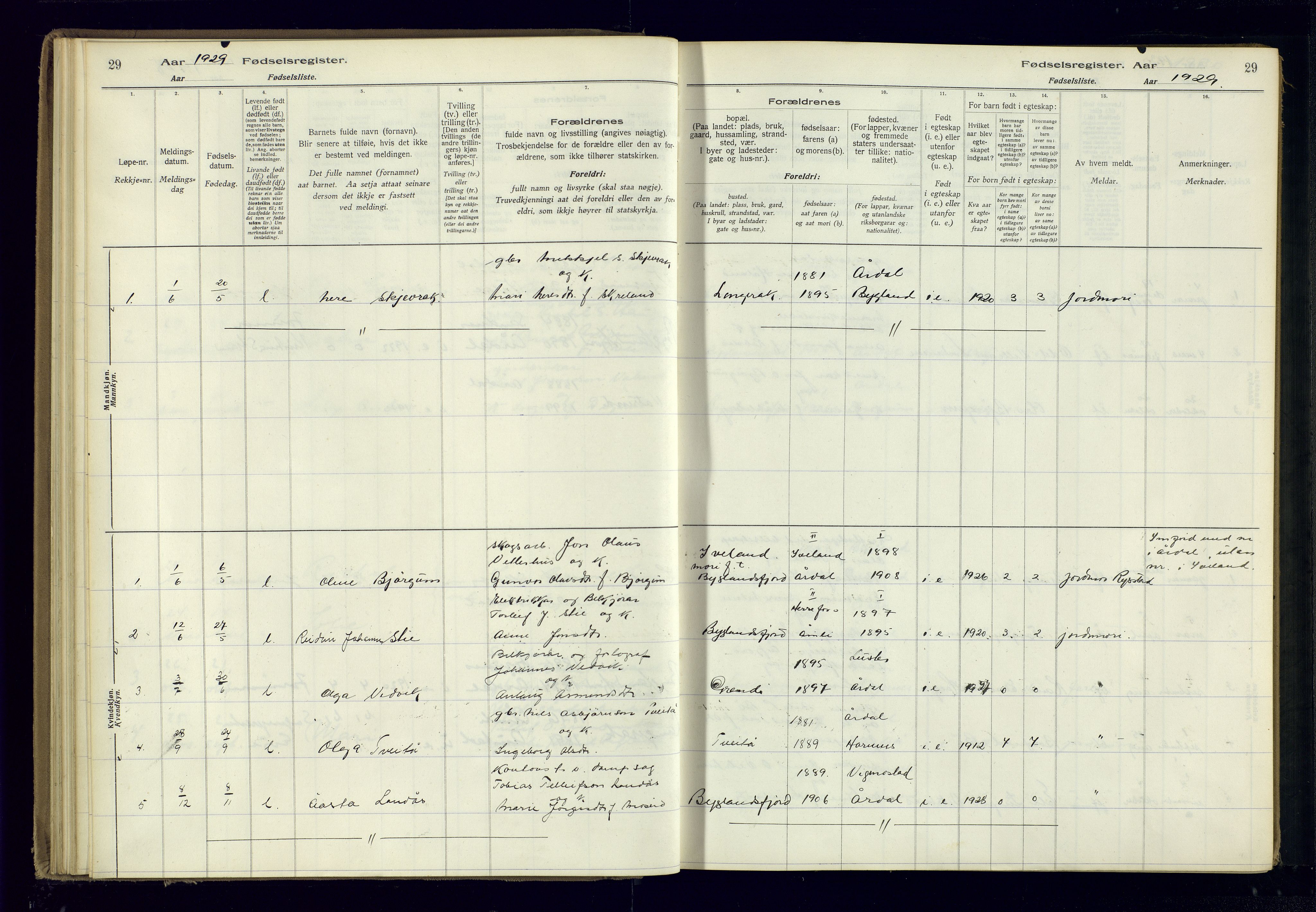 Bygland sokneprestkontor, AV/SAK-1111-0006/J/Ja/L0004: Birth register no. II.4.5, 1916-1983, p. 29