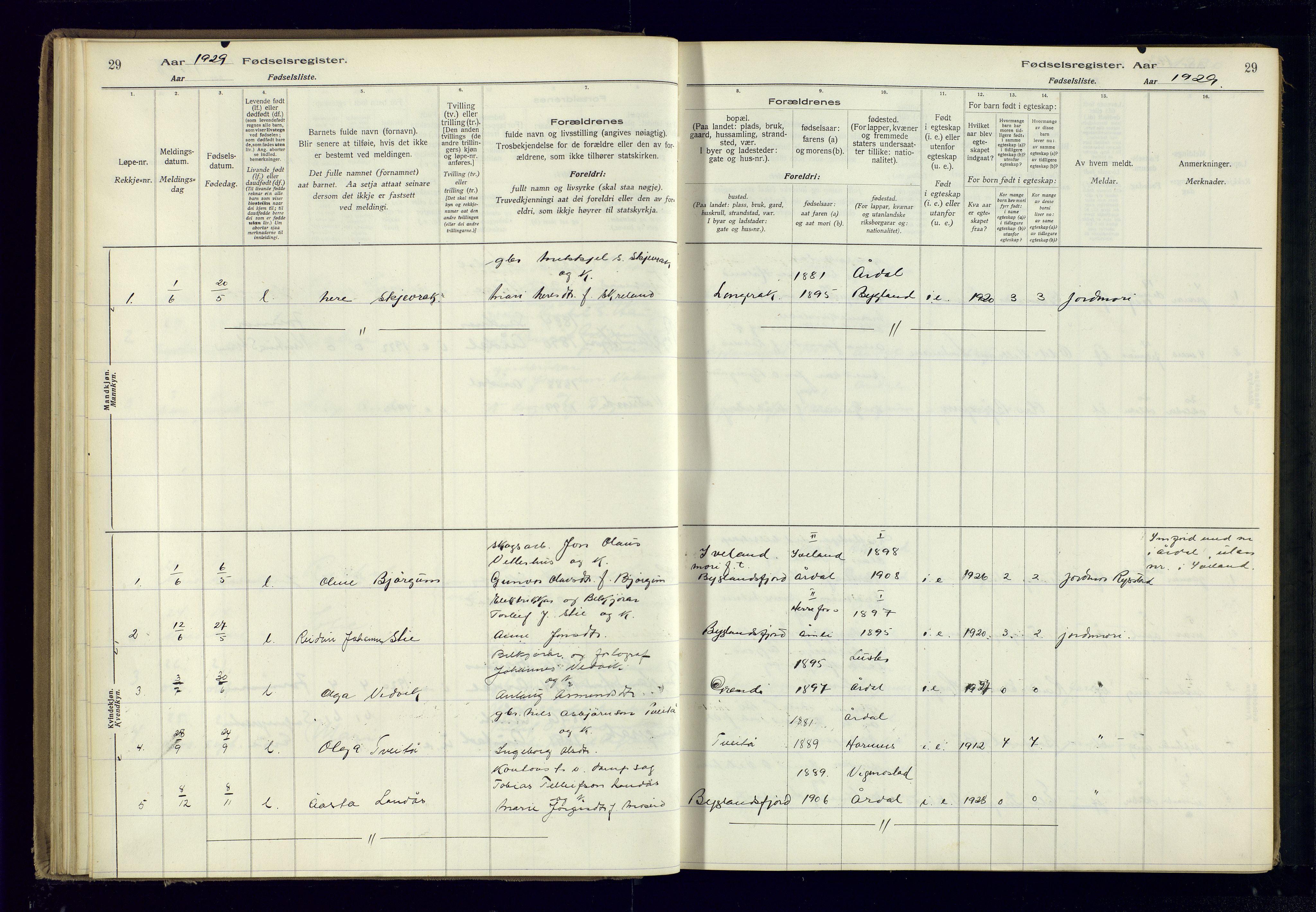 Bygland sokneprestkontor, SAK/1111-0006/J/Ja/L0004: Birth register no. II.4.5, 1916-1983, p. 29