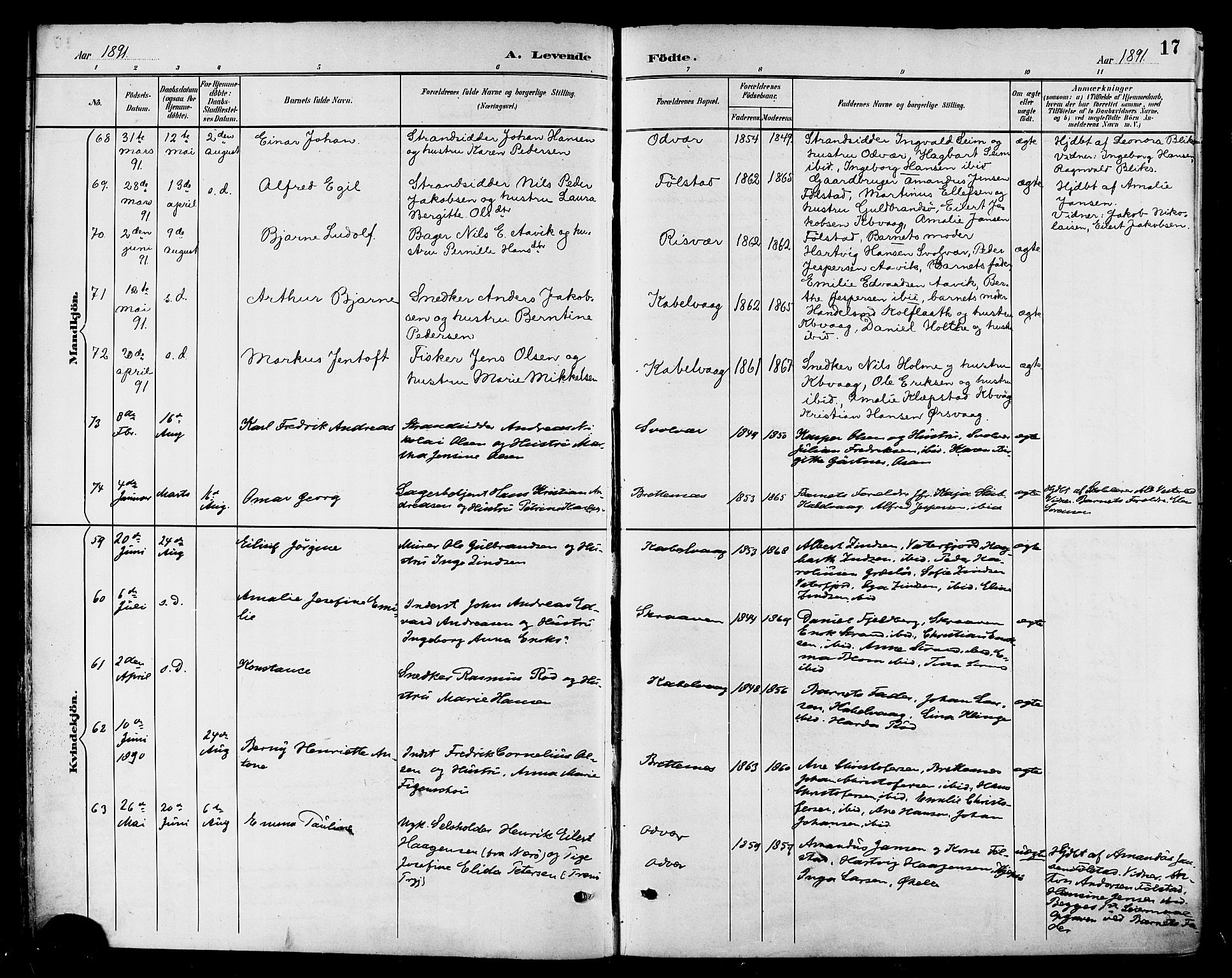 Ministerialprotokoller, klokkerbøker og fødselsregistre - Nordland, AV/SAT-A-1459/874/L1060: Parish register (official) no. 874A04, 1890-1899, p. 17