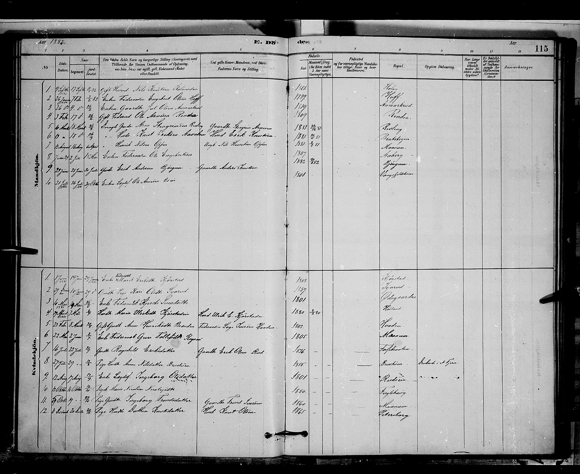 Nord-Aurdal prestekontor, SAH/PREST-132/H/Ha/Hab/L0006: Parish register (copy) no. 6, 1878-1892, p. 115
