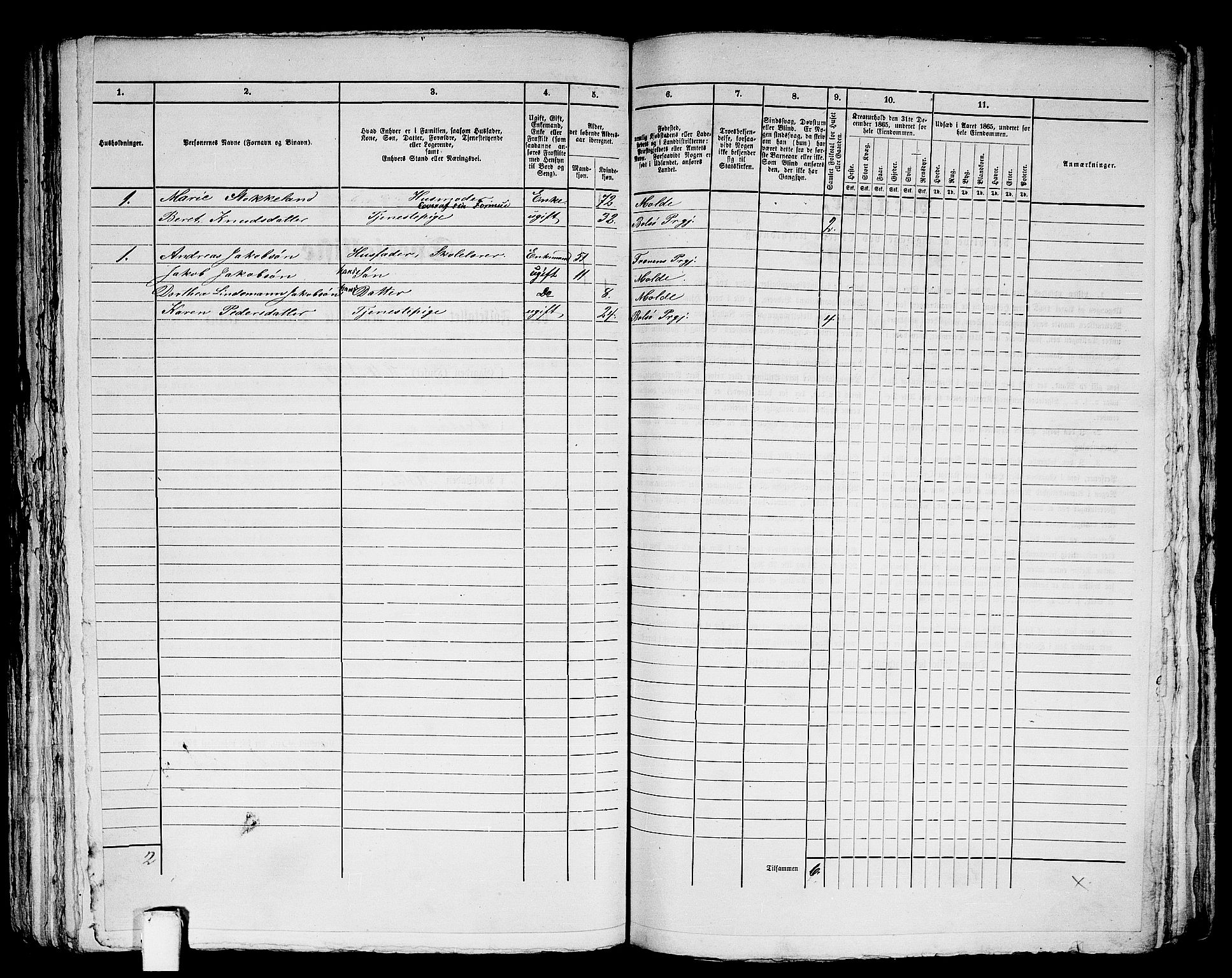 RA, 1865 census for Molde, 1865, p. 265
