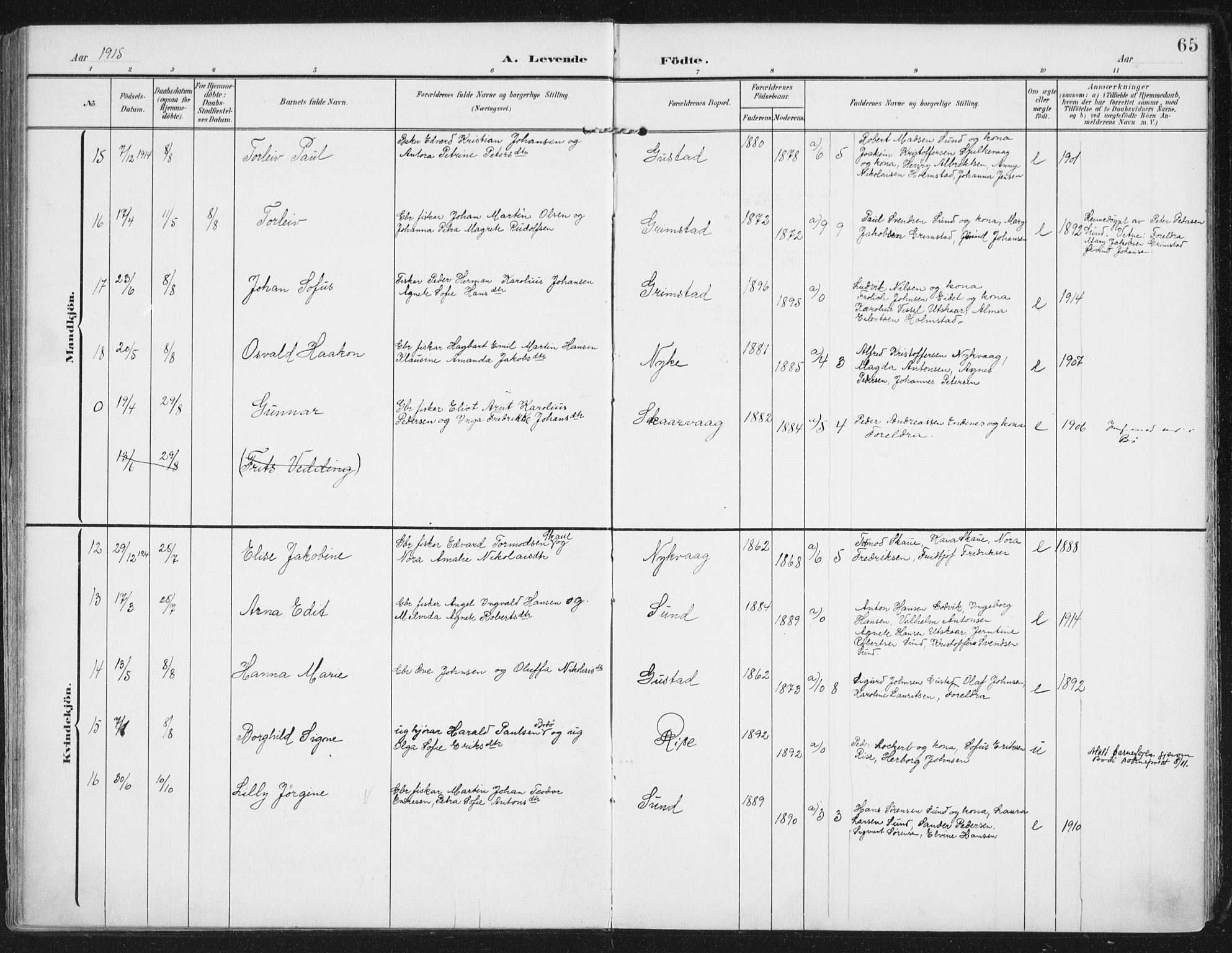 Ministerialprotokoller, klokkerbøker og fødselsregistre - Nordland, AV/SAT-A-1459/892/L1321: Parish register (official) no. 892A02, 1902-1918, p. 65