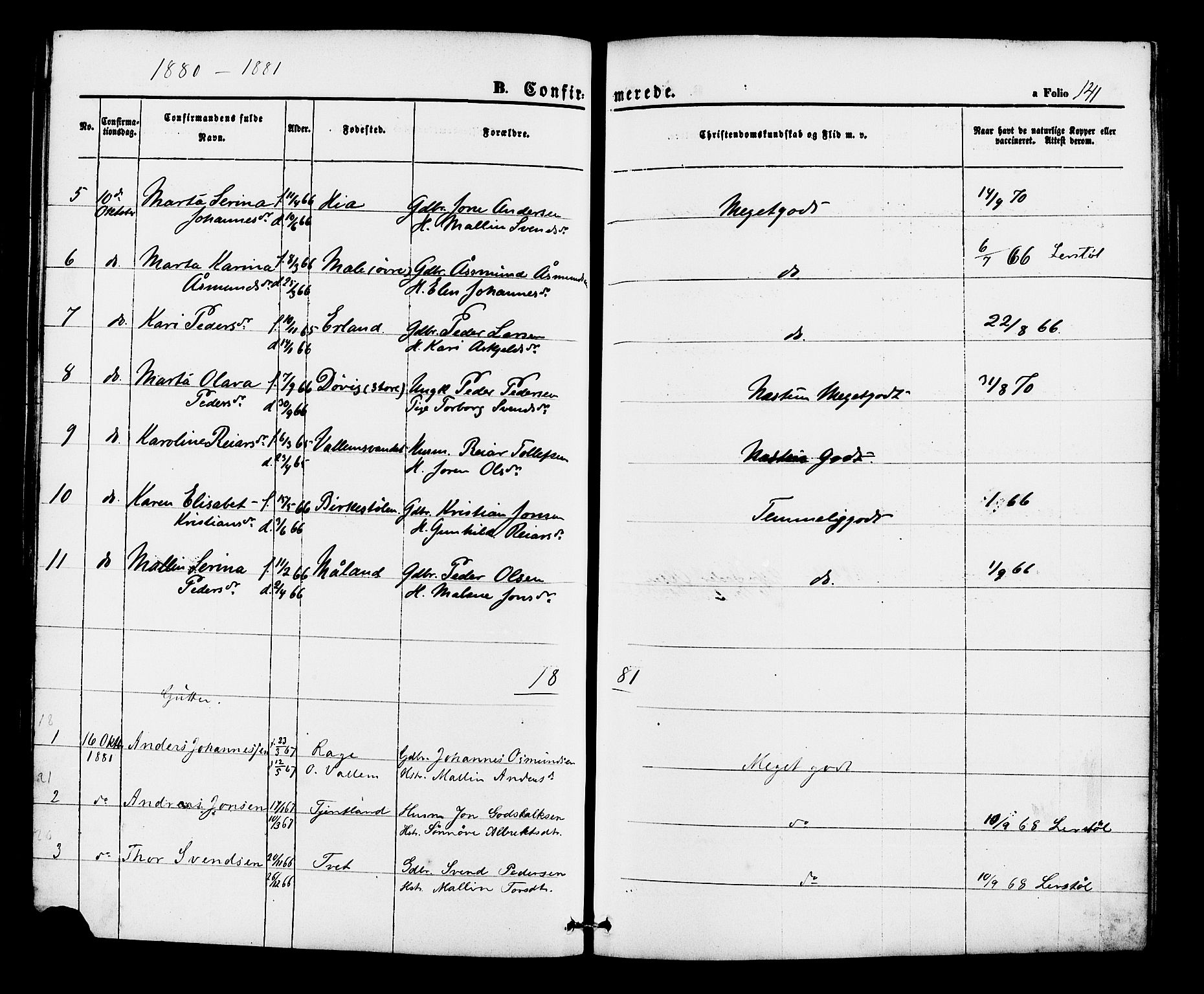 Hjelmeland sokneprestkontor, AV/SAST-A-101843/01/IV/L0012: Parish register (official) no. A 12, 1862-1886, p. 141