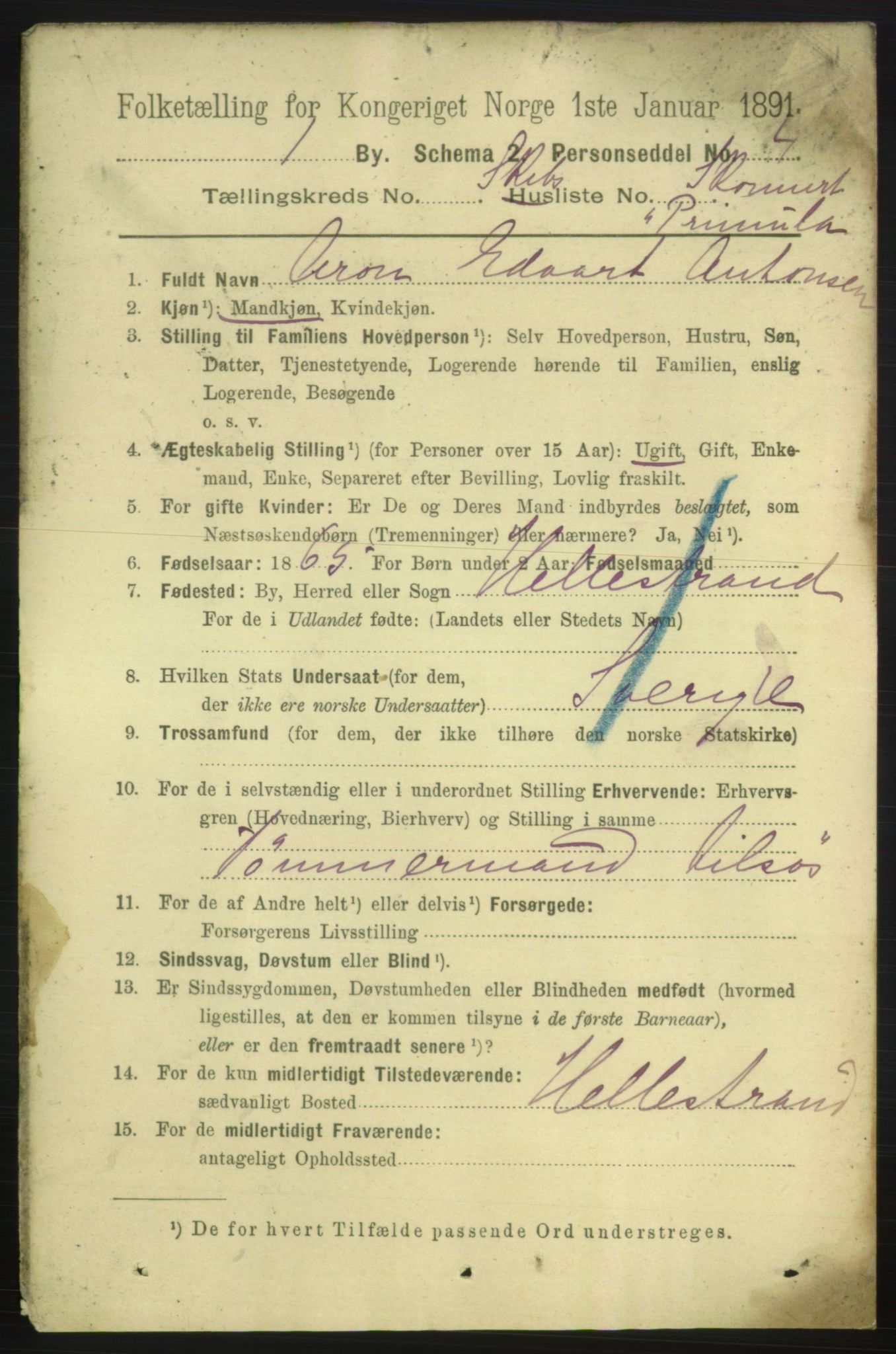 RA, 1891 census for 0101 Fredrikshald, 1891, p. 13811