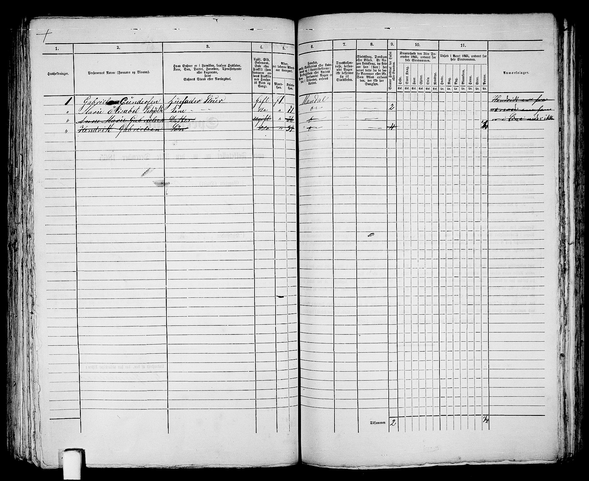 RA, 1865 census for Mandal/Mandal, 1865, p. 295
