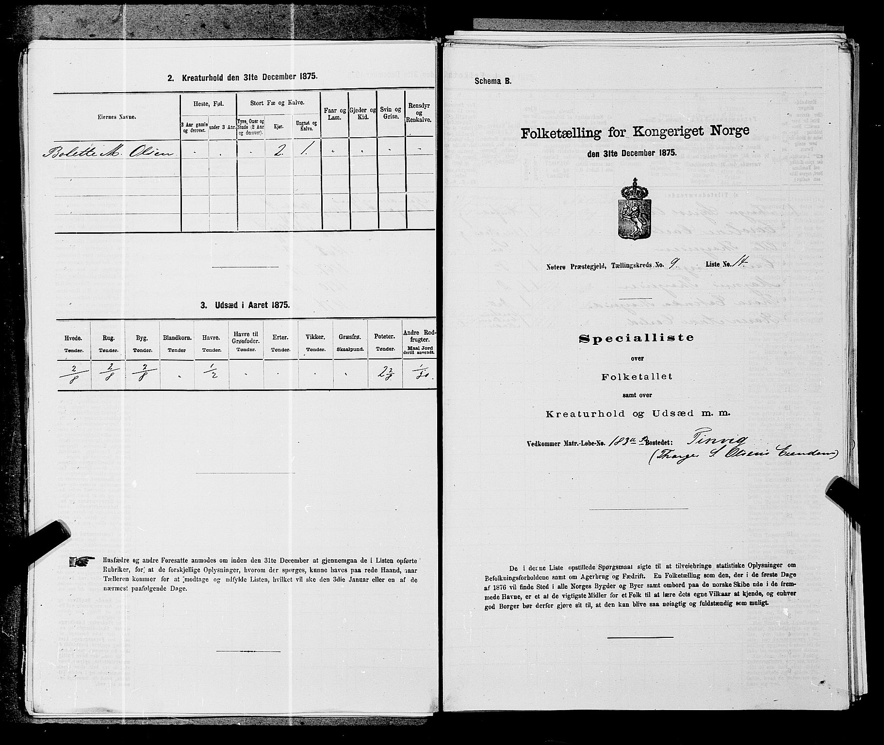 SAKO, 1875 census for 0722P Nøtterøy, 1875, p. 1761