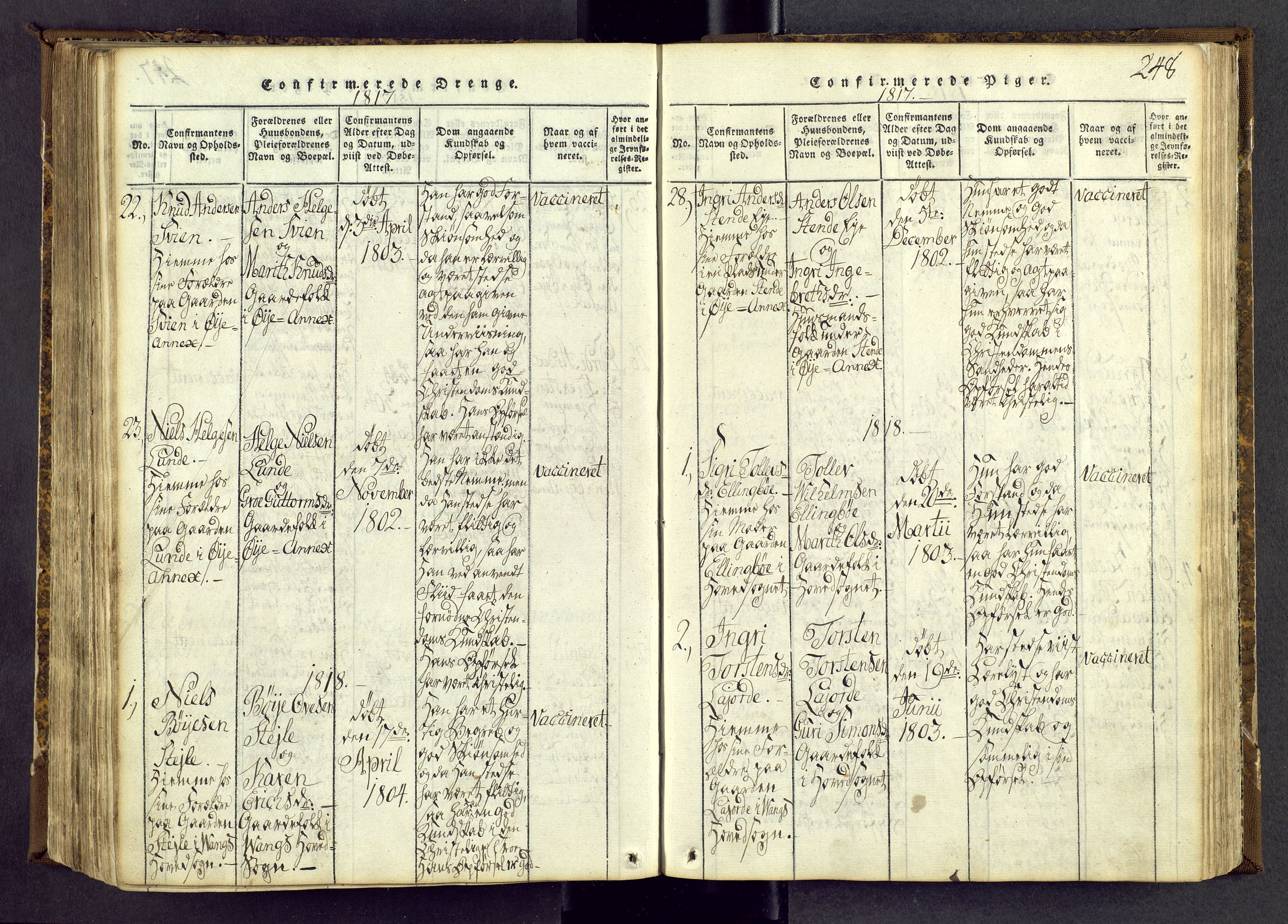 Vang prestekontor, Valdres, SAH/PREST-140/H/Ha/L0004: Parish register (official) no. 4, 1814-1831, p. 248