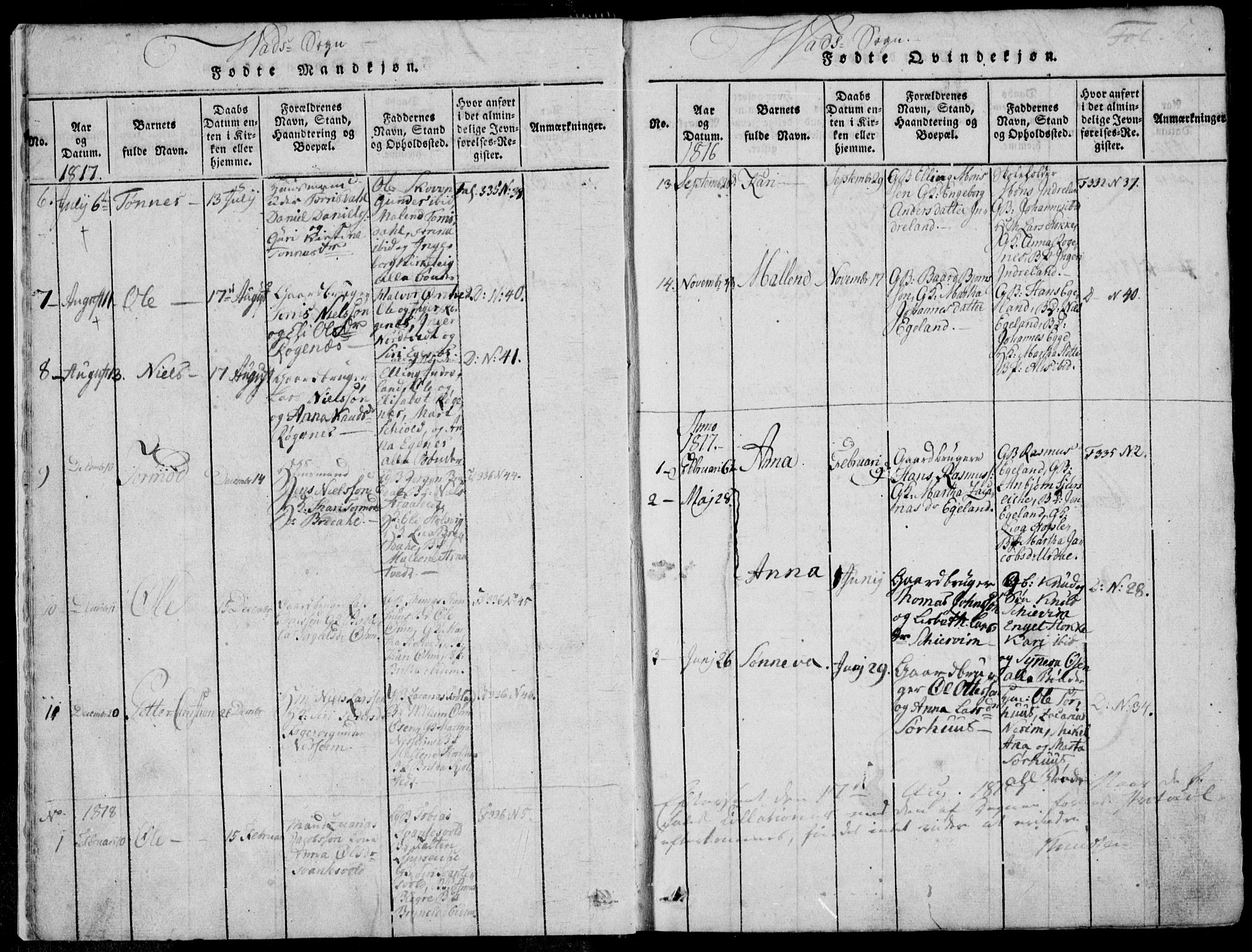 Skjold sokneprestkontor, AV/SAST-A-101847/H/Ha/Haa/L0004: Parish register (official) no. A 4 /2, 1815-1830, p. 5