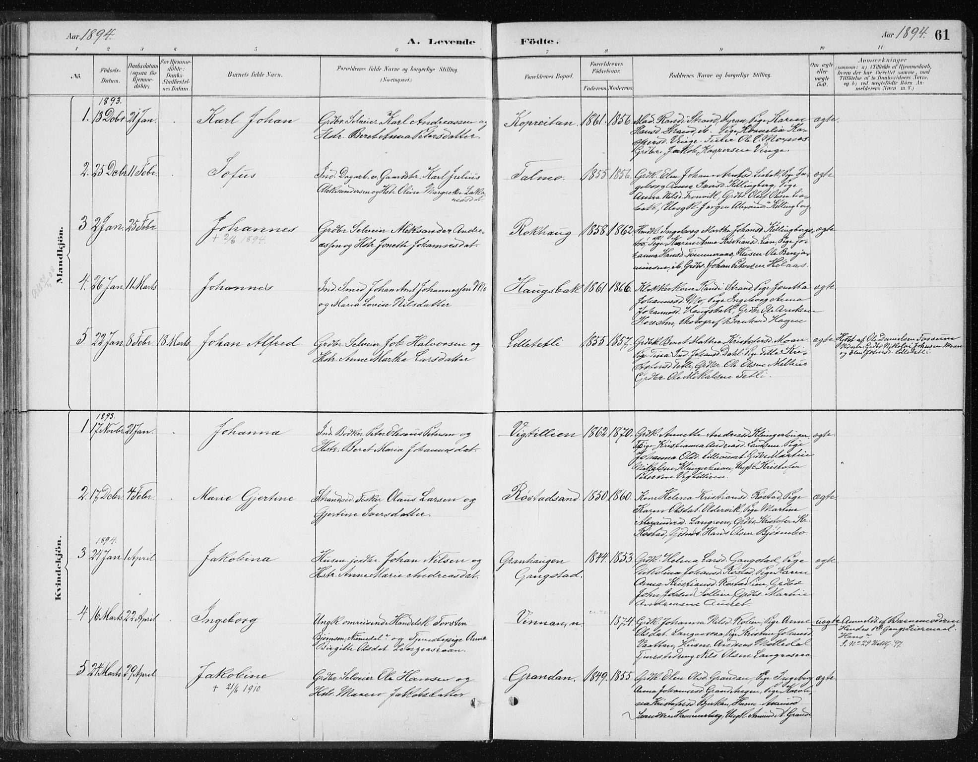 Ministerialprotokoller, klokkerbøker og fødselsregistre - Nord-Trøndelag, SAT/A-1458/701/L0010: Parish register (official) no. 701A10, 1883-1899, p. 61
