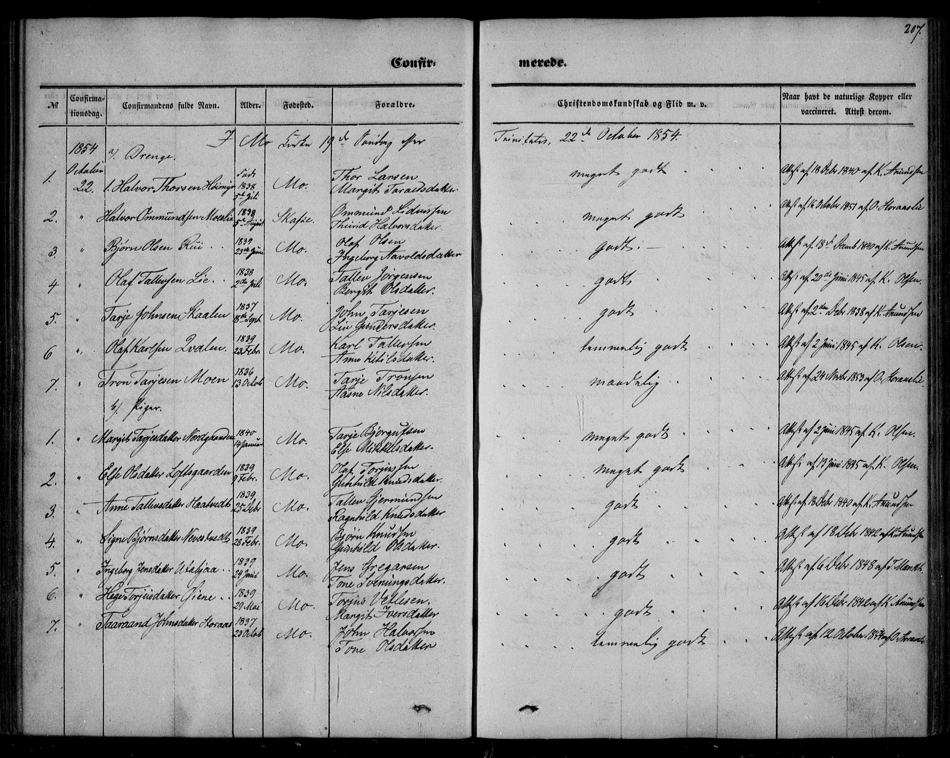 Mo kirkebøker, SAKO/A-286/F/Fa/L0005: Parish register (official) no. I 5, 1844-1864, p. 207
