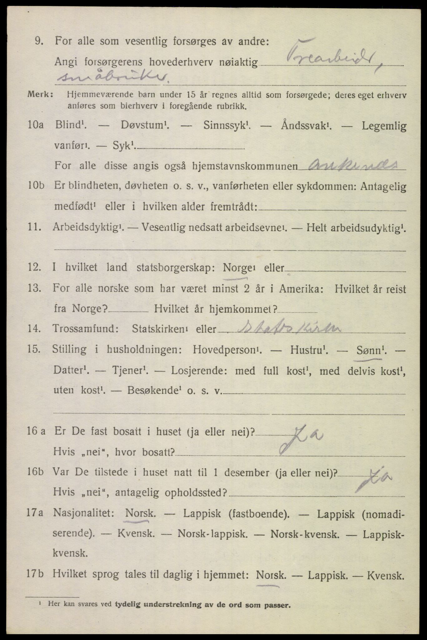 SAT, 1920 census for Ankenes, 1920, p. 4906