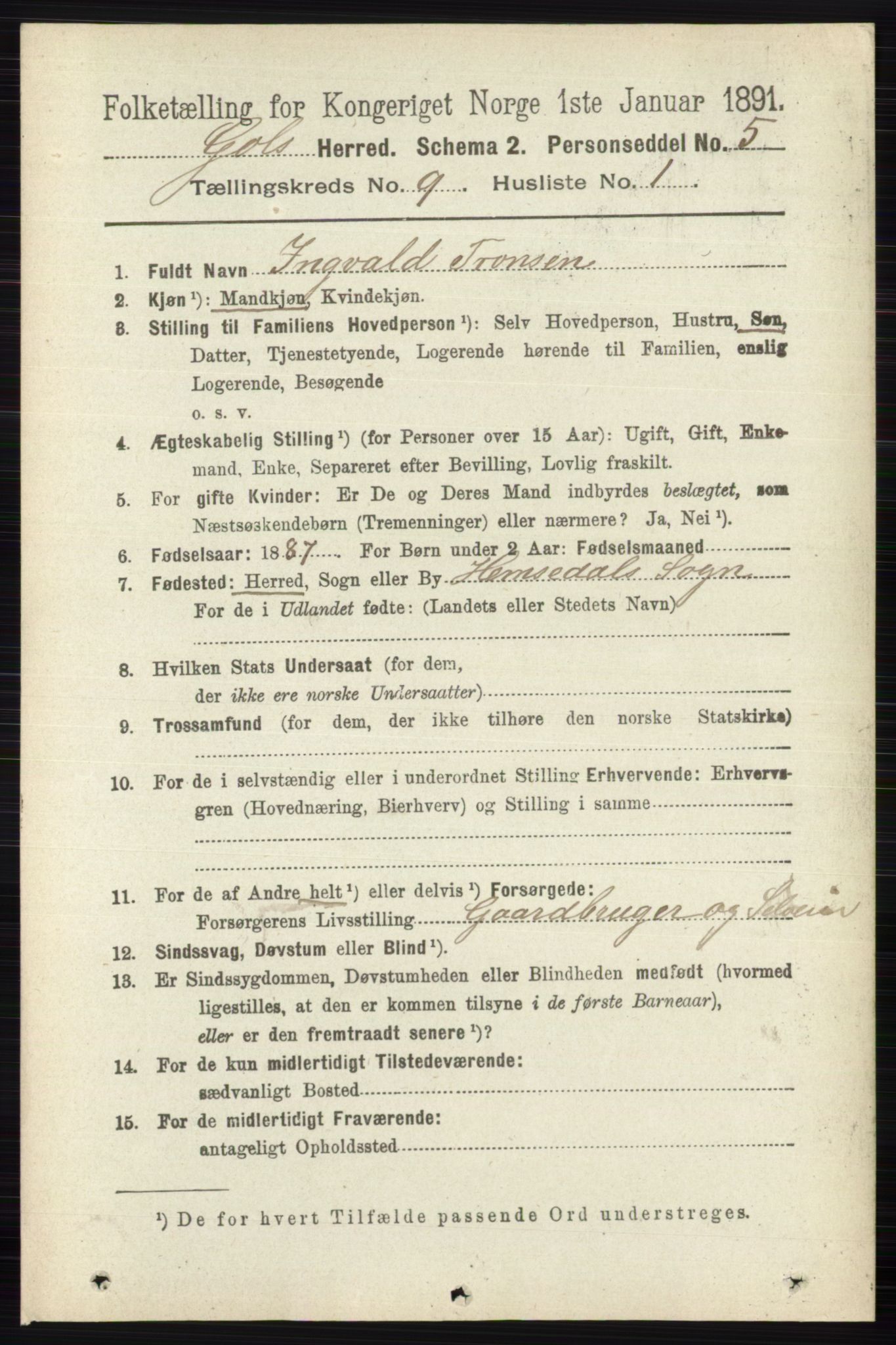 RA, 1891 census for 0617 Gol og Hemsedal, 1891, p. 3402