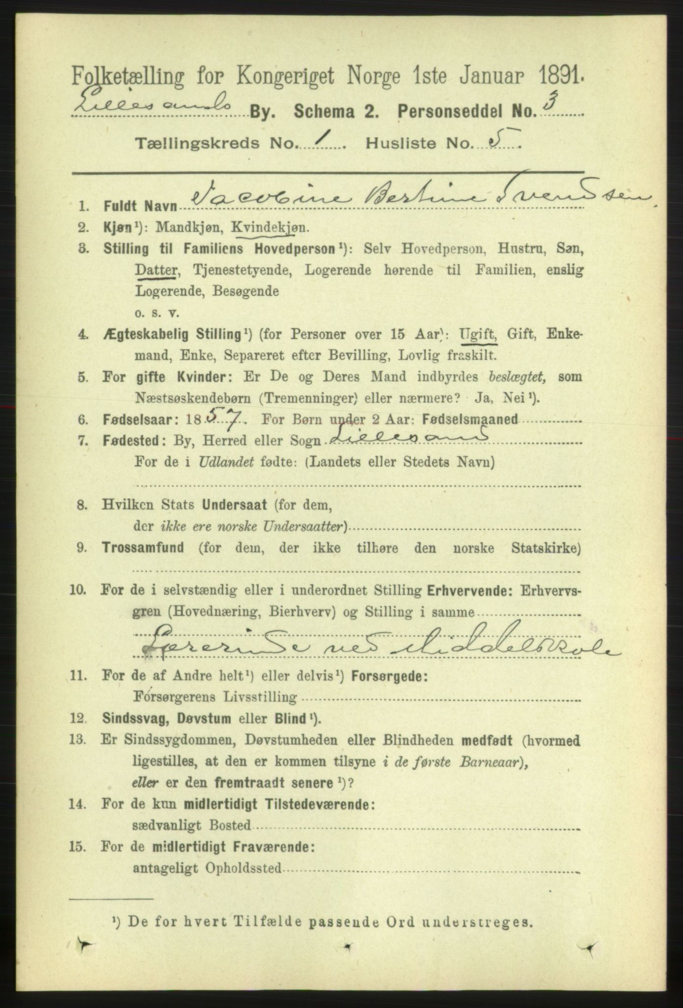 RA, 1891 census for 0905 Lillesand, 1891, p. 44