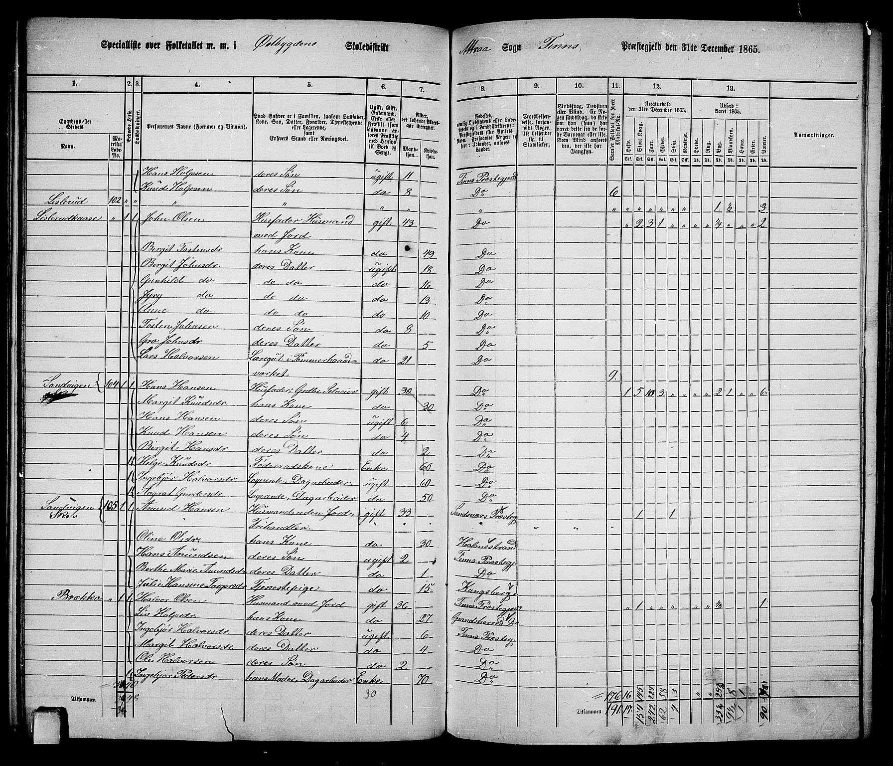 RA, 1865 census for Tinn, 1865, p. 15