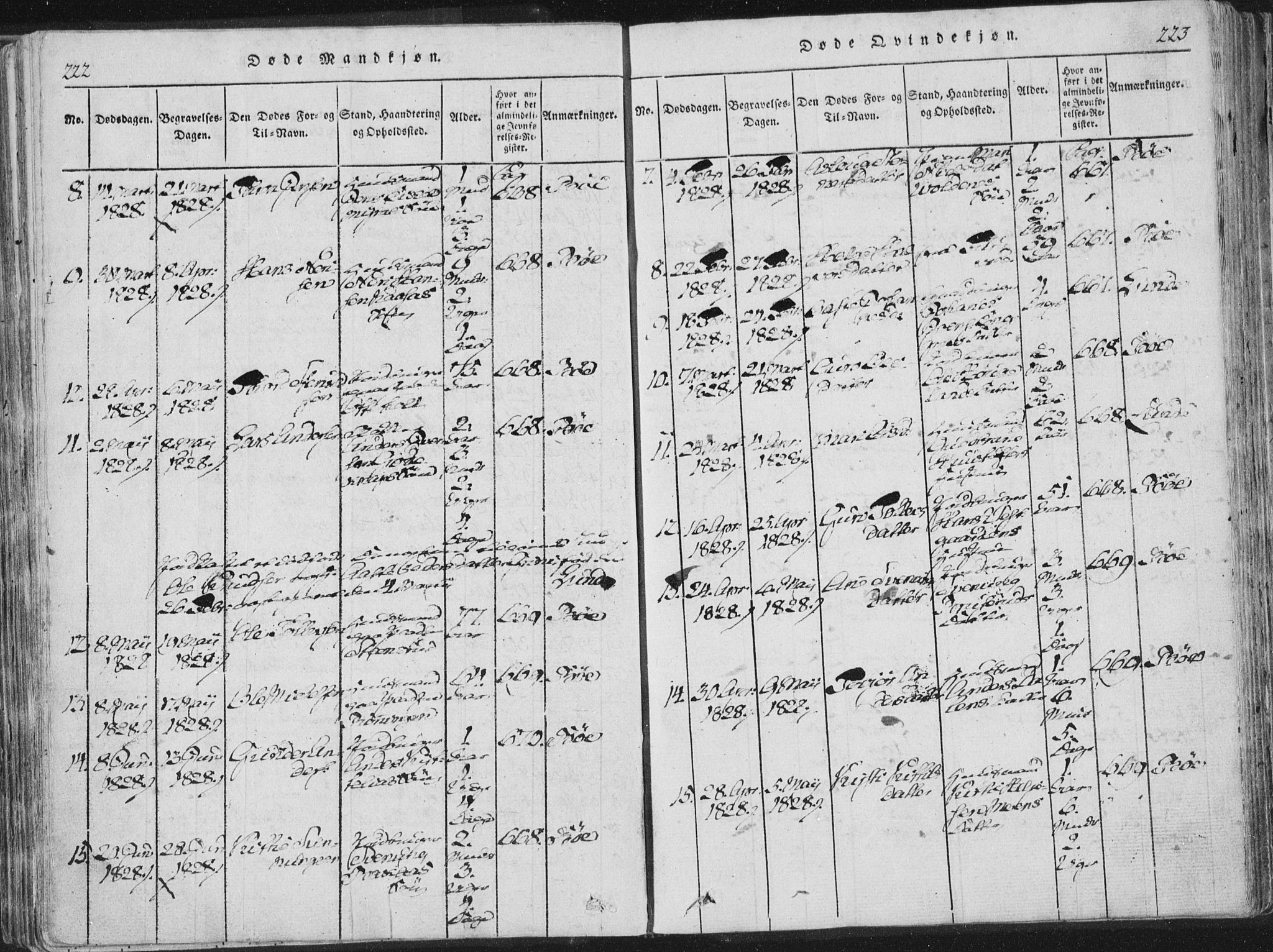 Bø kirkebøker, AV/SAKO-A-257/F/Fa/L0006: Parish register (official) no. 6, 1815-1831, p. 222-223