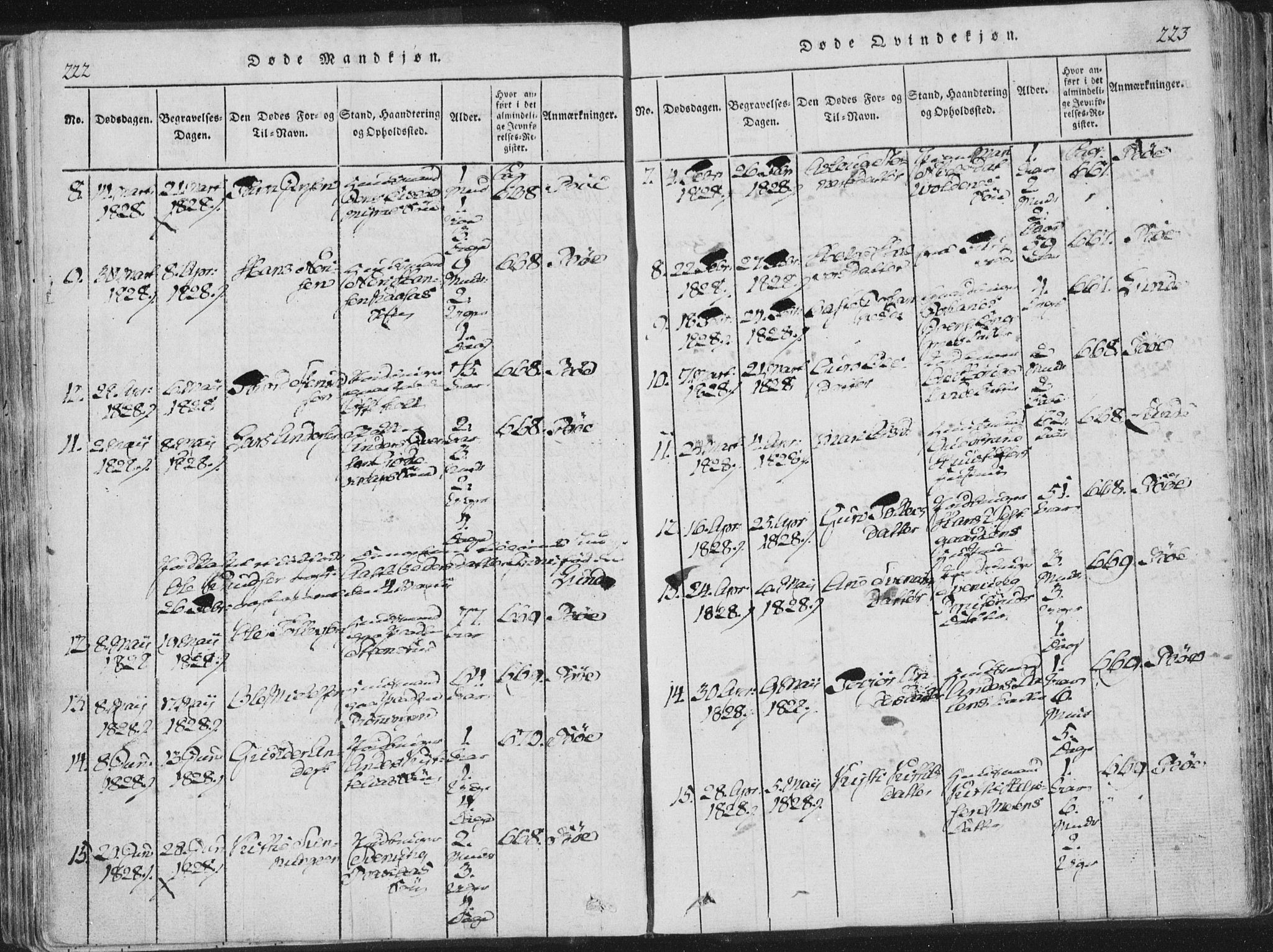 Bø kirkebøker, SAKO/A-257/F/Fa/L0006: Parish register (official) no. 6, 1815-1831, p. 222-223