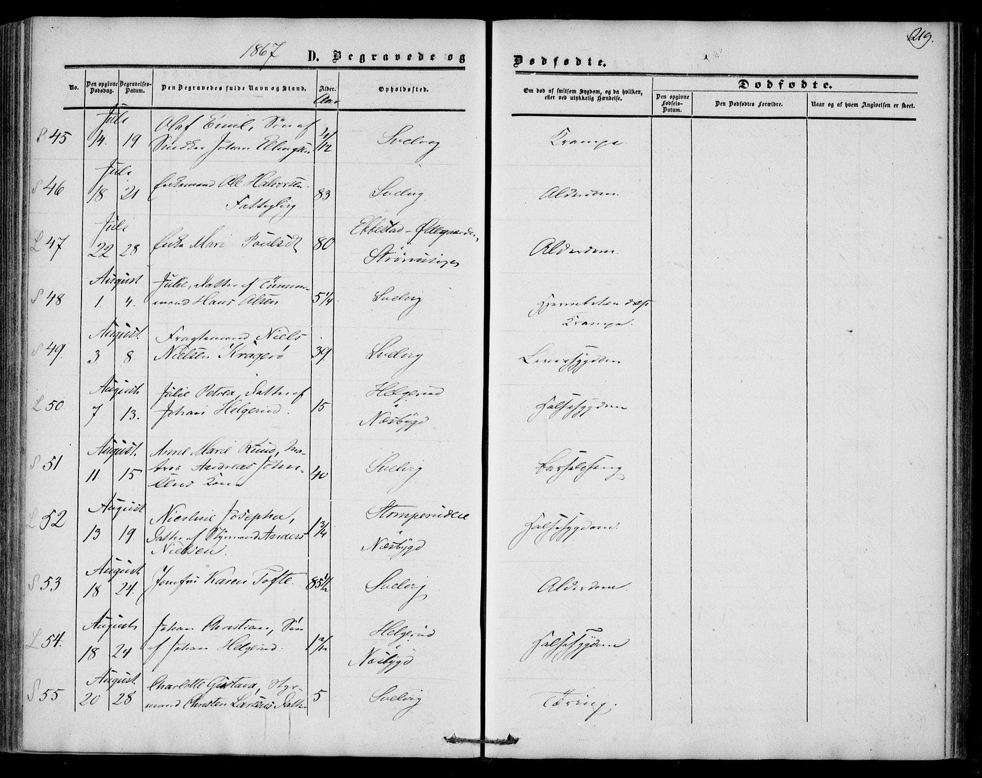 Strømm kirkebøker, SAKO/A-322/F/Fa/L0001: Parish register (official) no. I 1, 1861-1869, p. 219