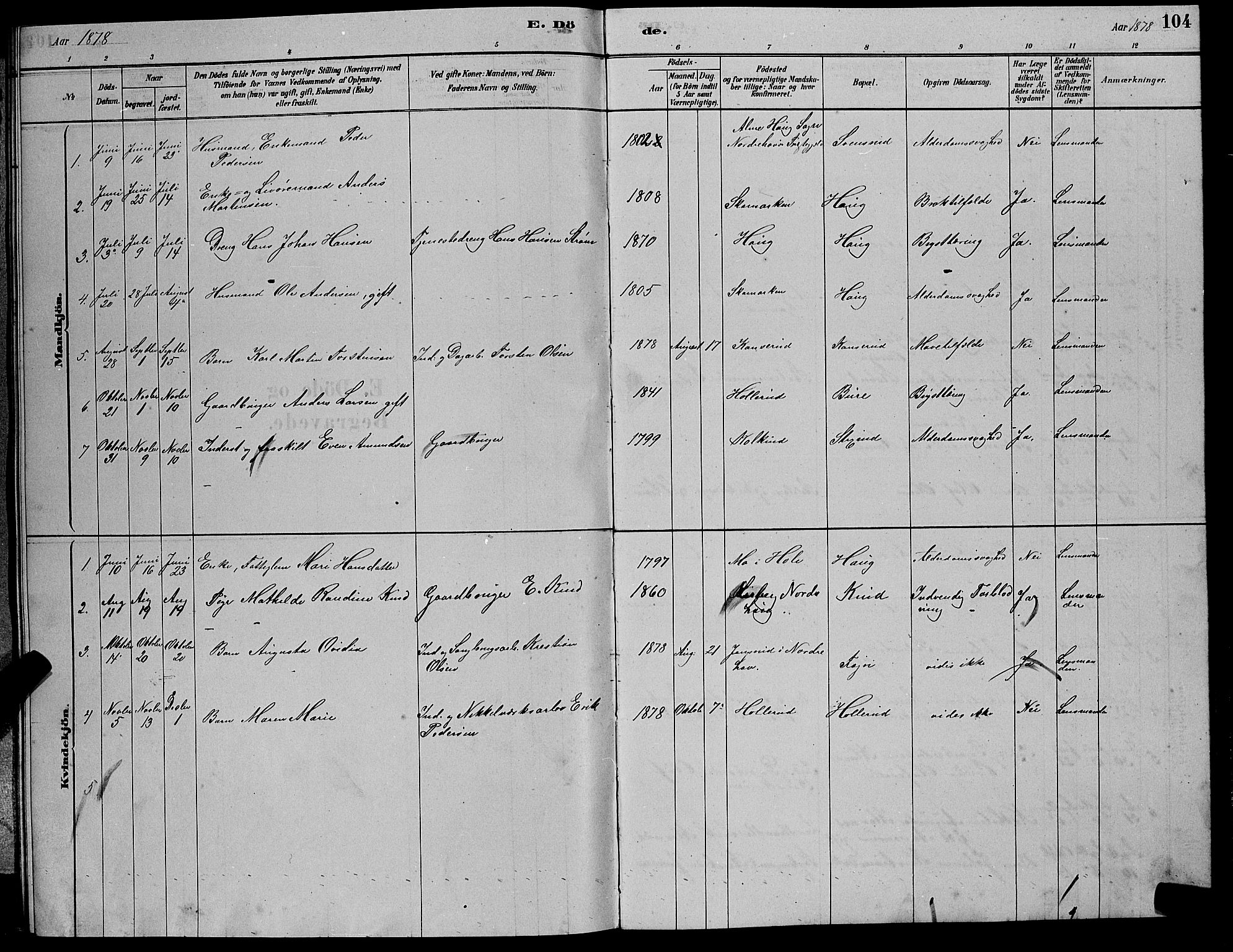 Hole kirkebøker, SAKO/A-228/G/Gb/L0002: Parish register (copy) no. II 2, 1878-1889, p. 104