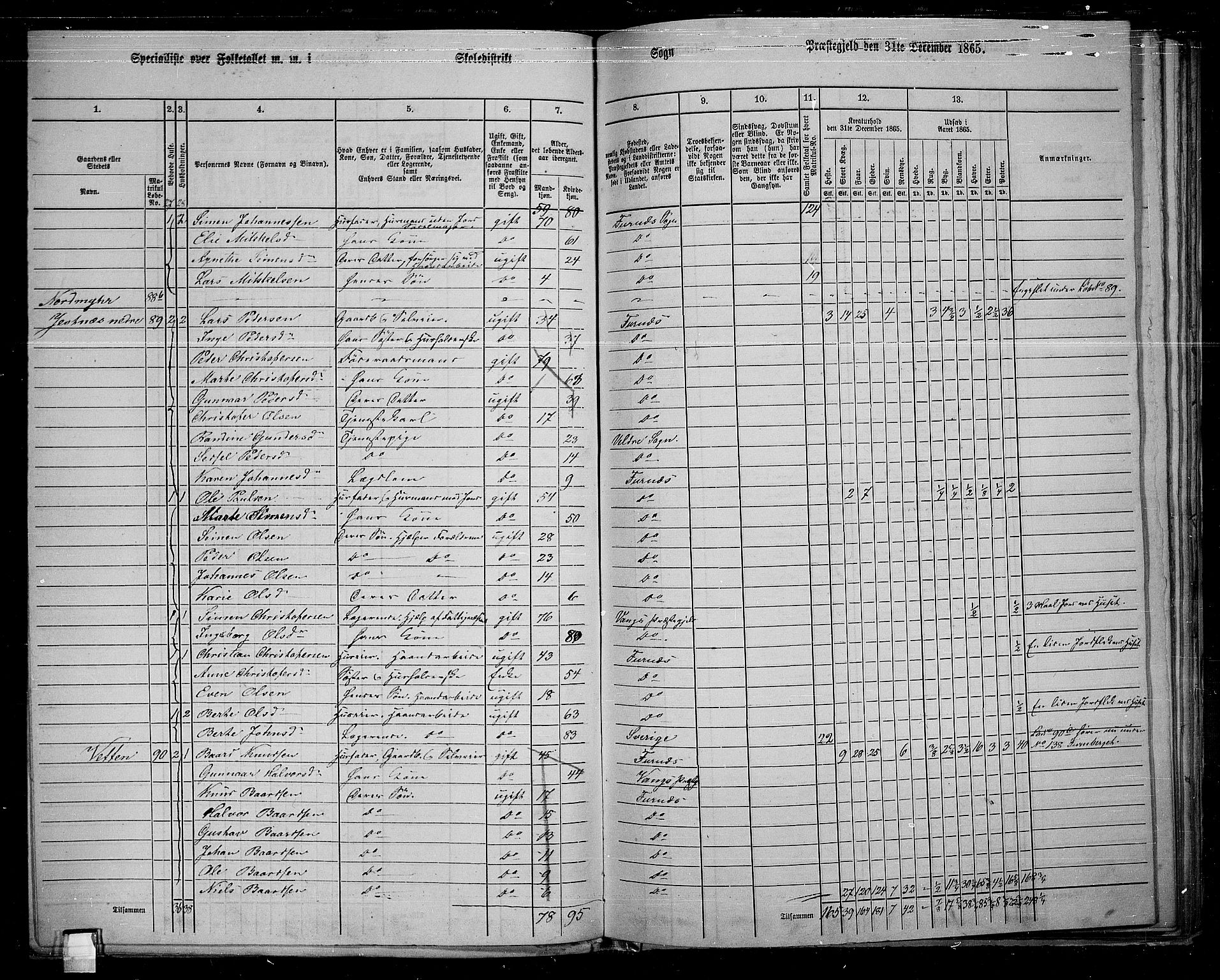 RA, 1865 census for Vang/Vang og Furnes, 1865, p. 94