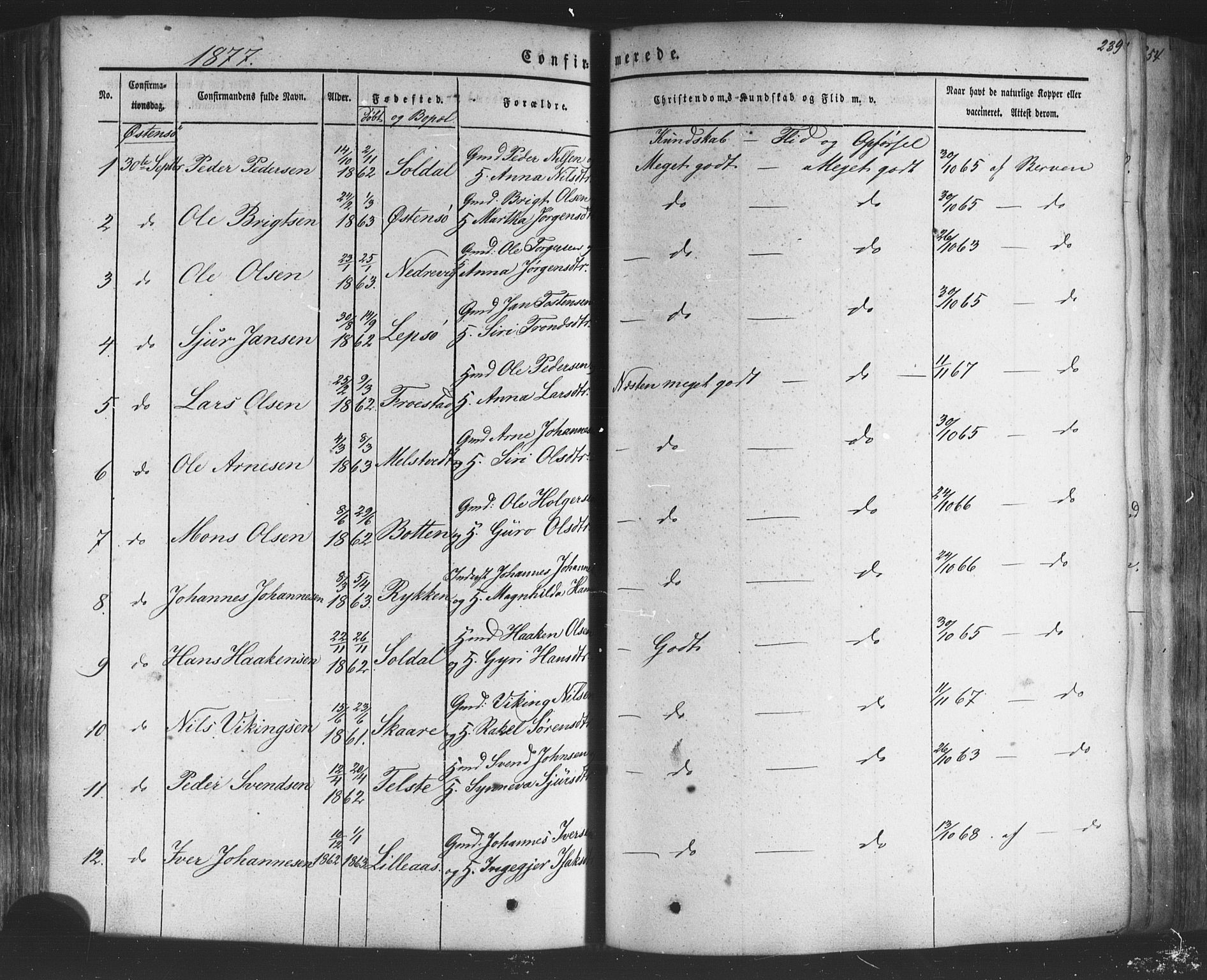 Kvam sokneprestembete, SAB/A-76201/H/Haa: Parish register (official) no. A 9, 1864-1879, p. 239