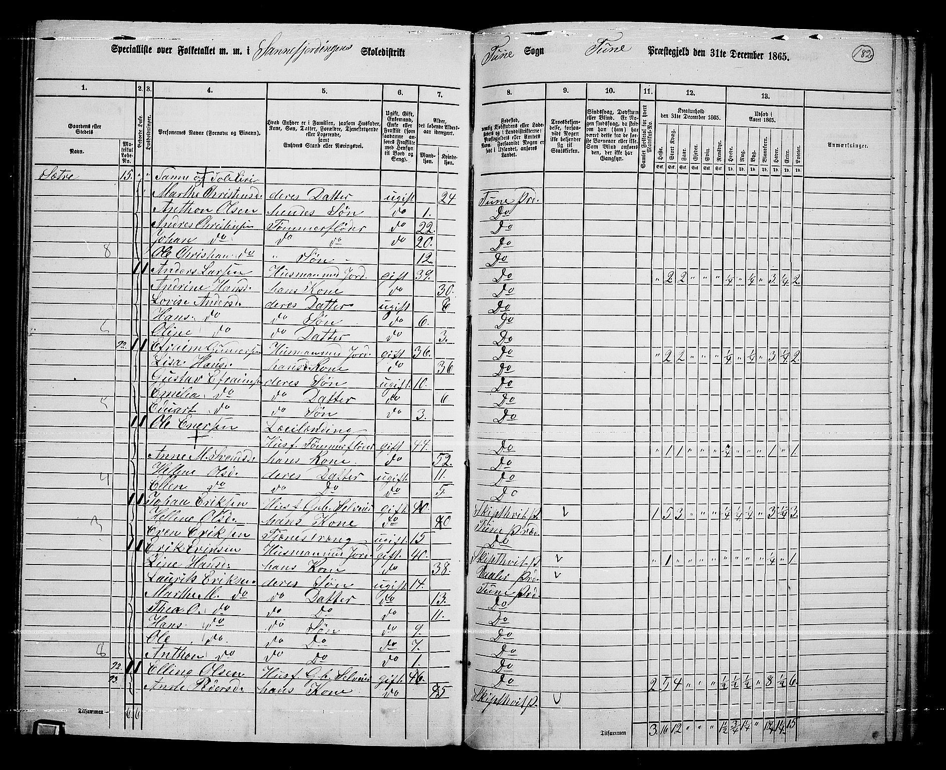 RA, 1865 census for Tune, 1865, p. 256