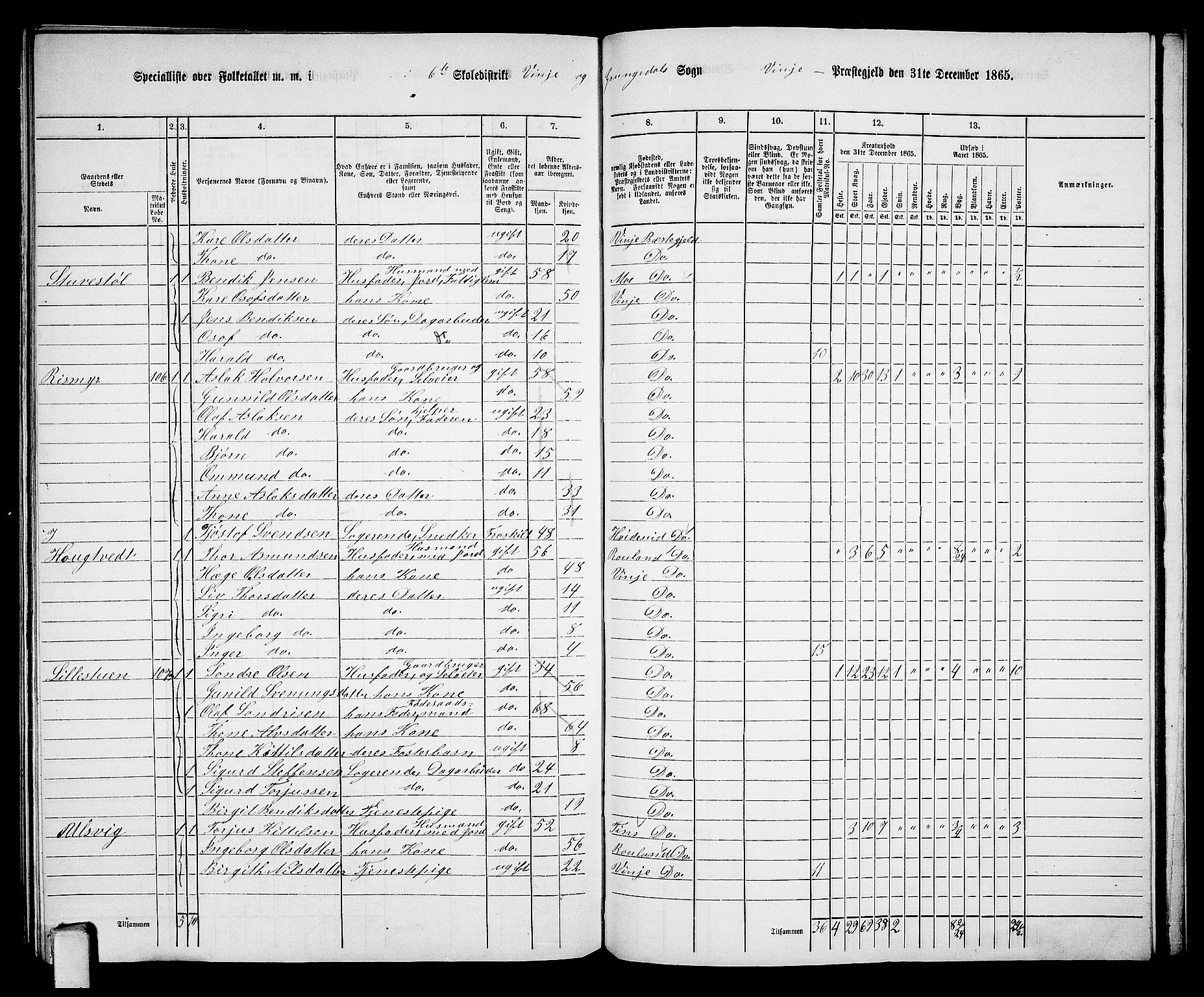 RA, 1865 census for Vinje, 1865, p. 63