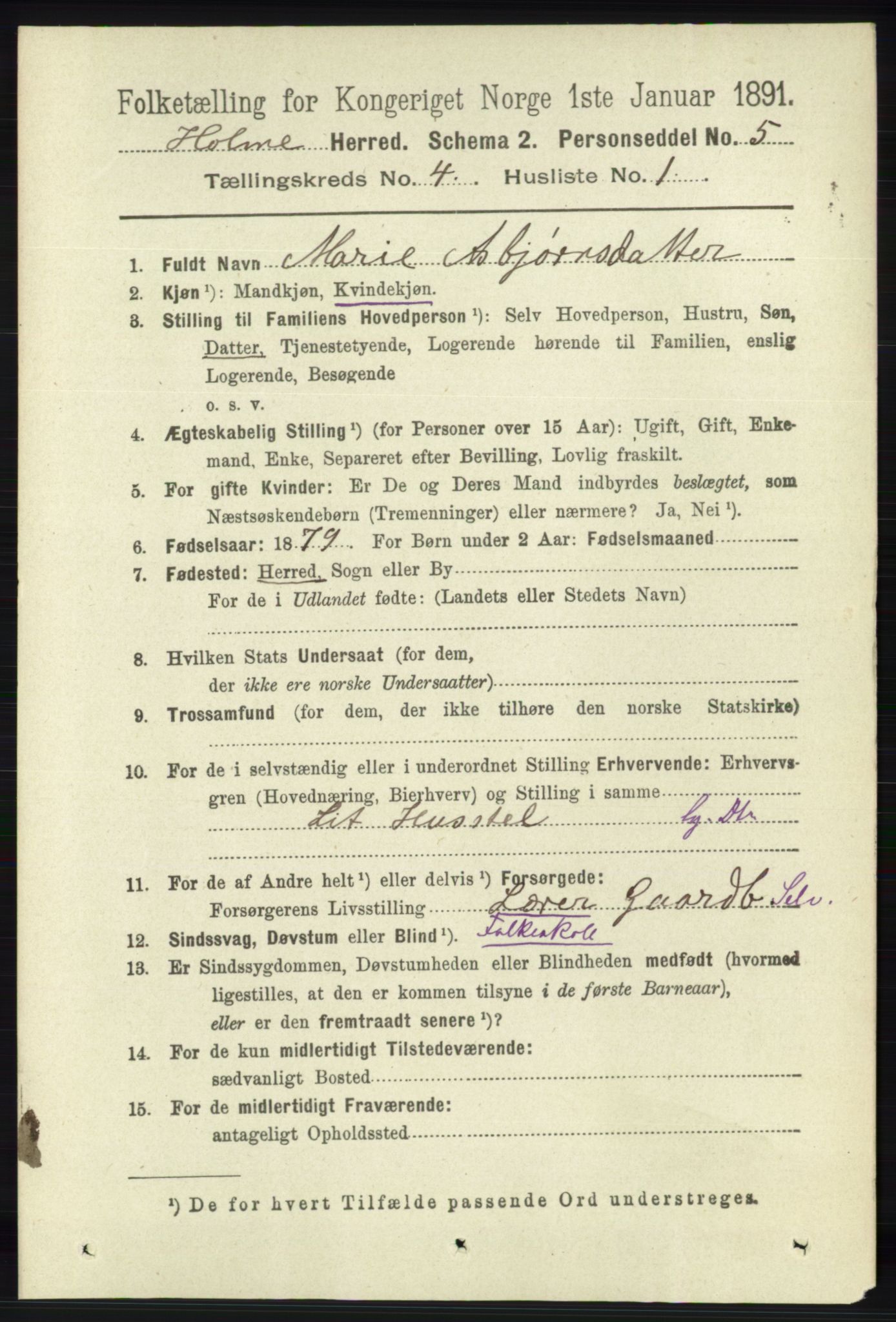 RA, 1891 census for 1020 Holum, 1891, p. 1038