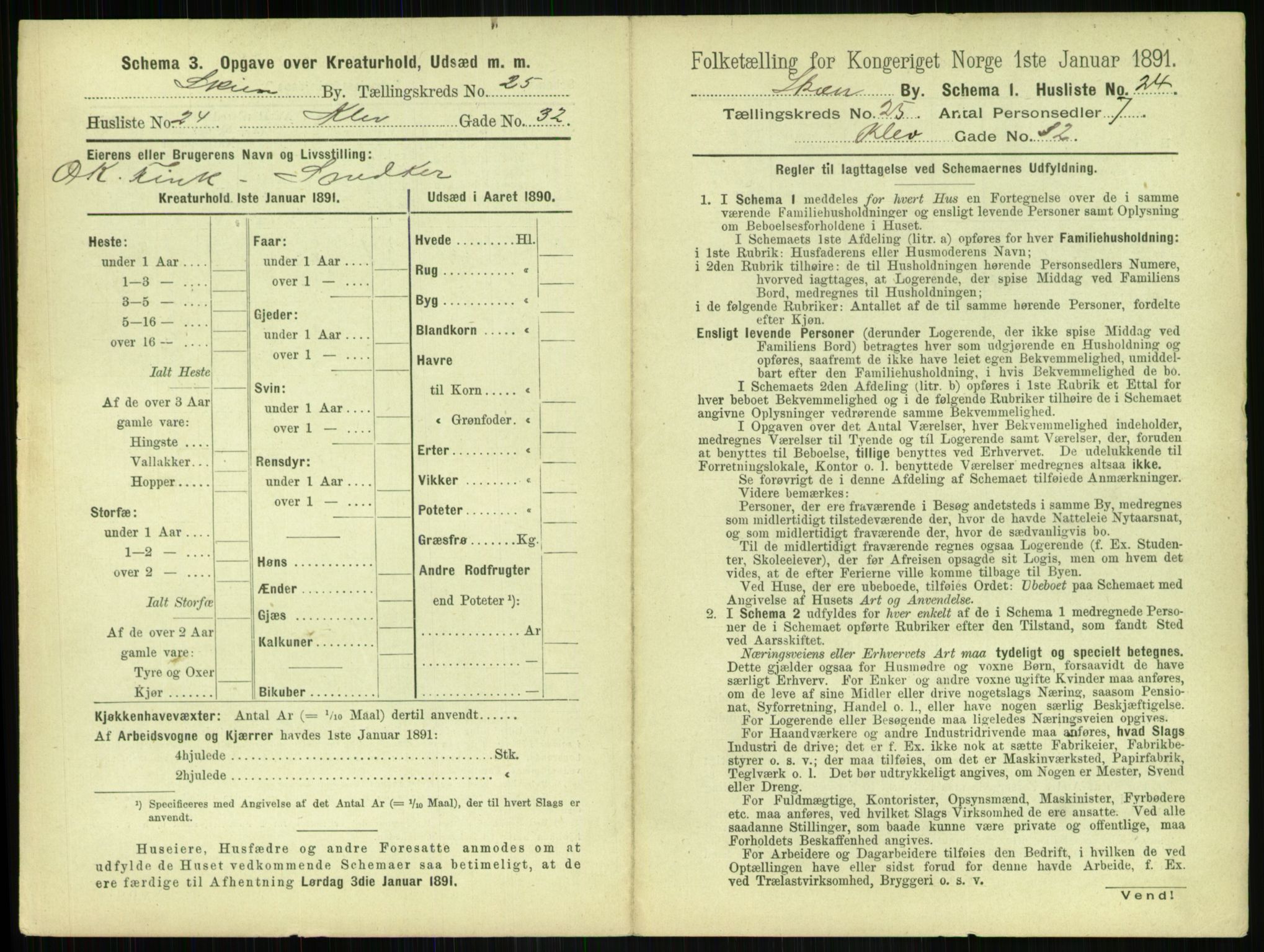 RA, 1891 census for 0806 Skien, 1891, p. 966