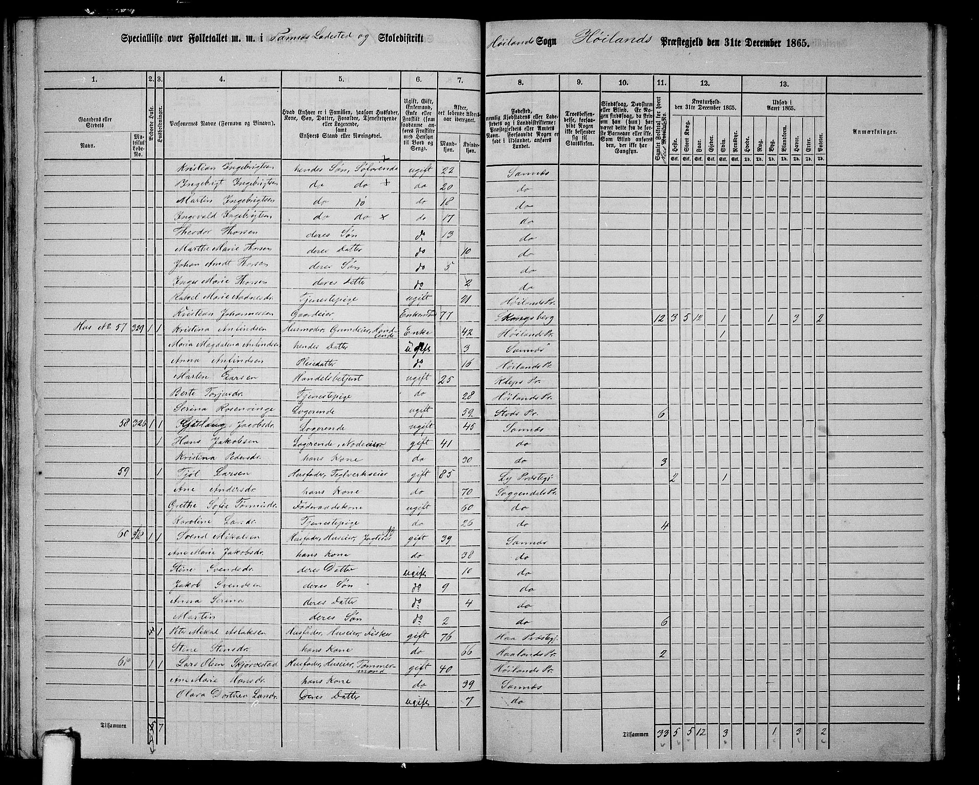 RA, 1865 census for Høyland, 1865, p. 165