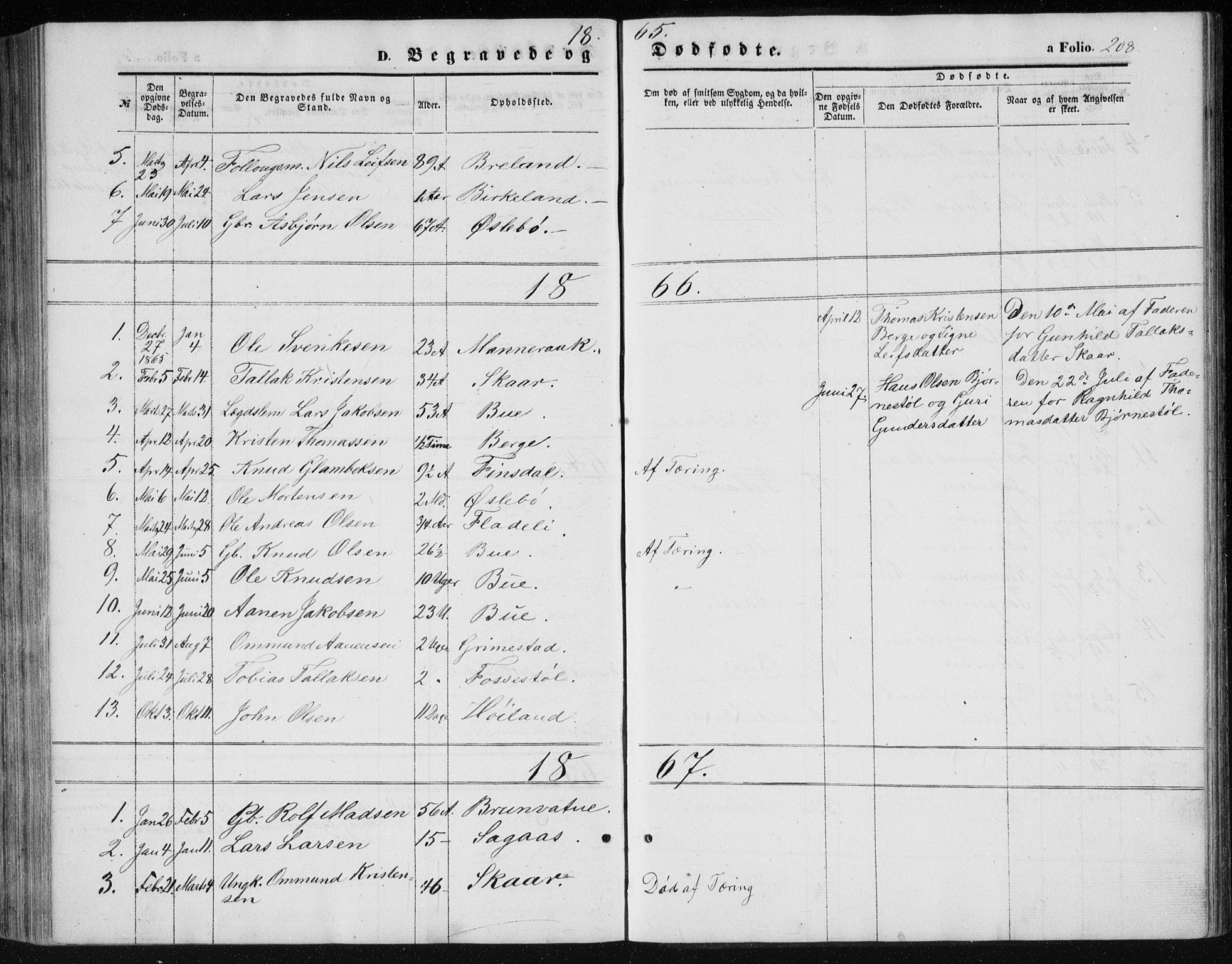 Holum sokneprestkontor, SAK/1111-0022/F/Fb/Fbc/L0002: Parish register (copy) no. B 2, 1860-1882, p. 208