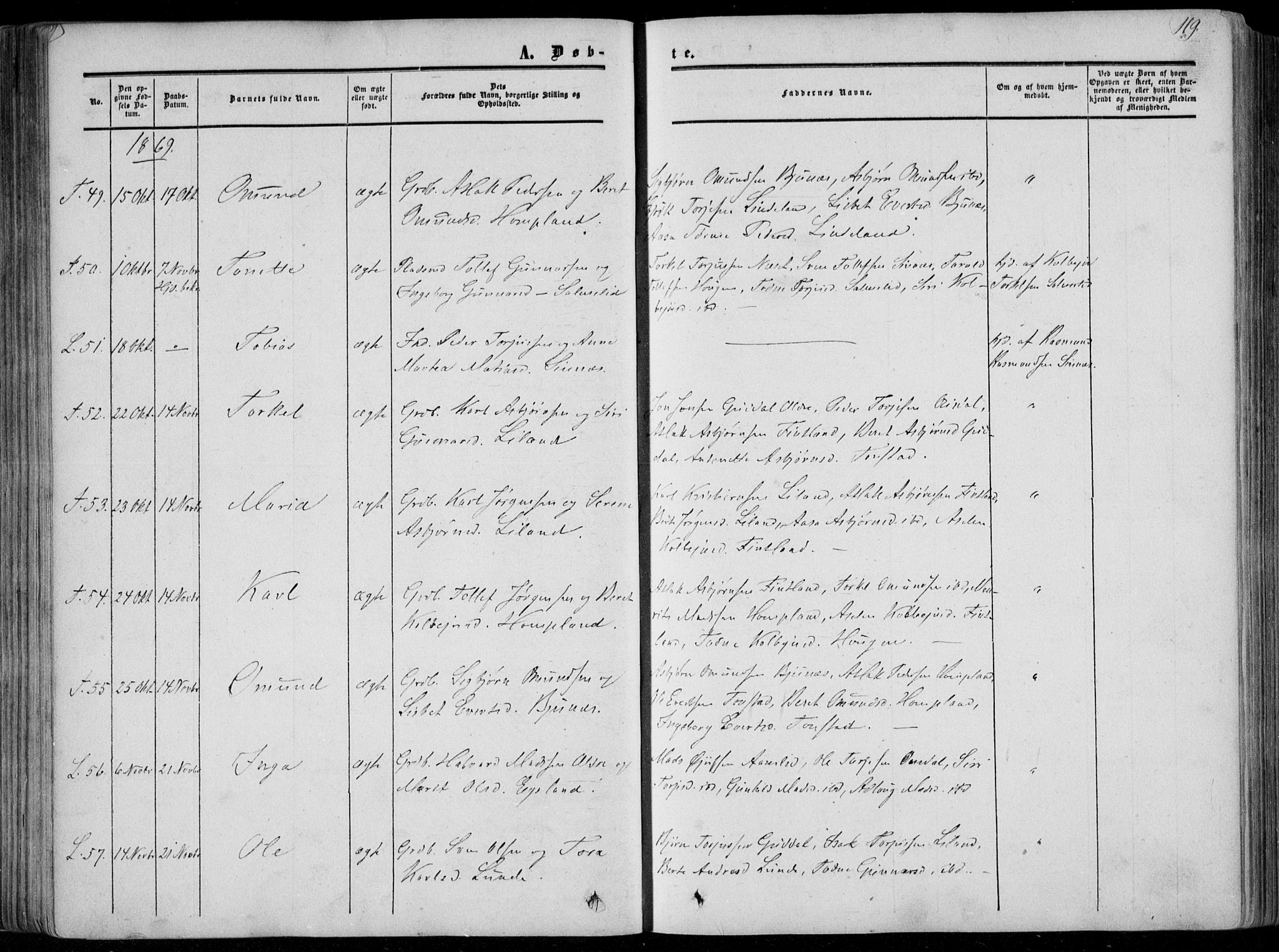 Sirdal sokneprestkontor, AV/SAK-1111-0036/F/Fa/Fab/L0002: Parish register (official) no. A 2, 1855-1874, p. 119