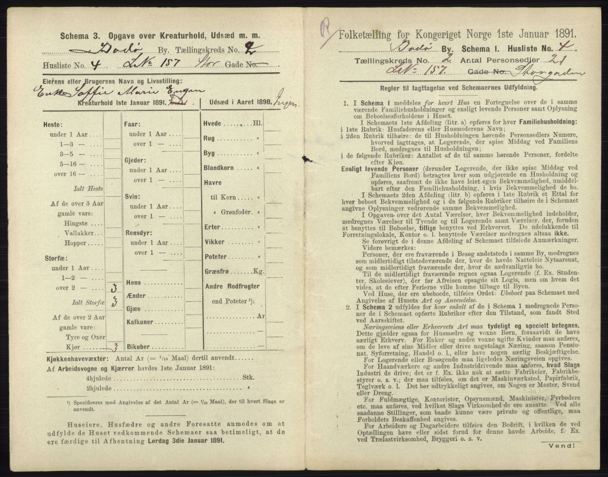 RA, 1891 census for 1804 Bodø, 1891, p. 856