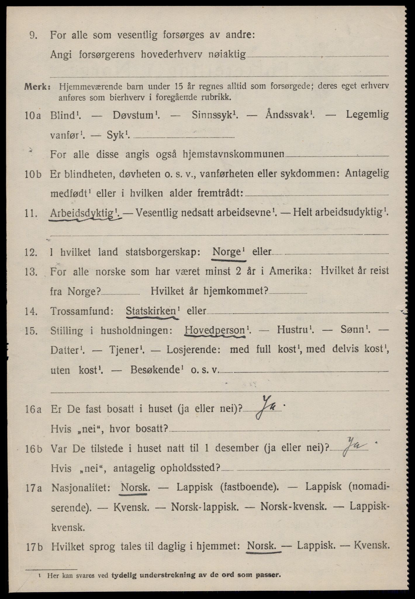 SAT, 1920 census for Støren, 1920, p. 1429