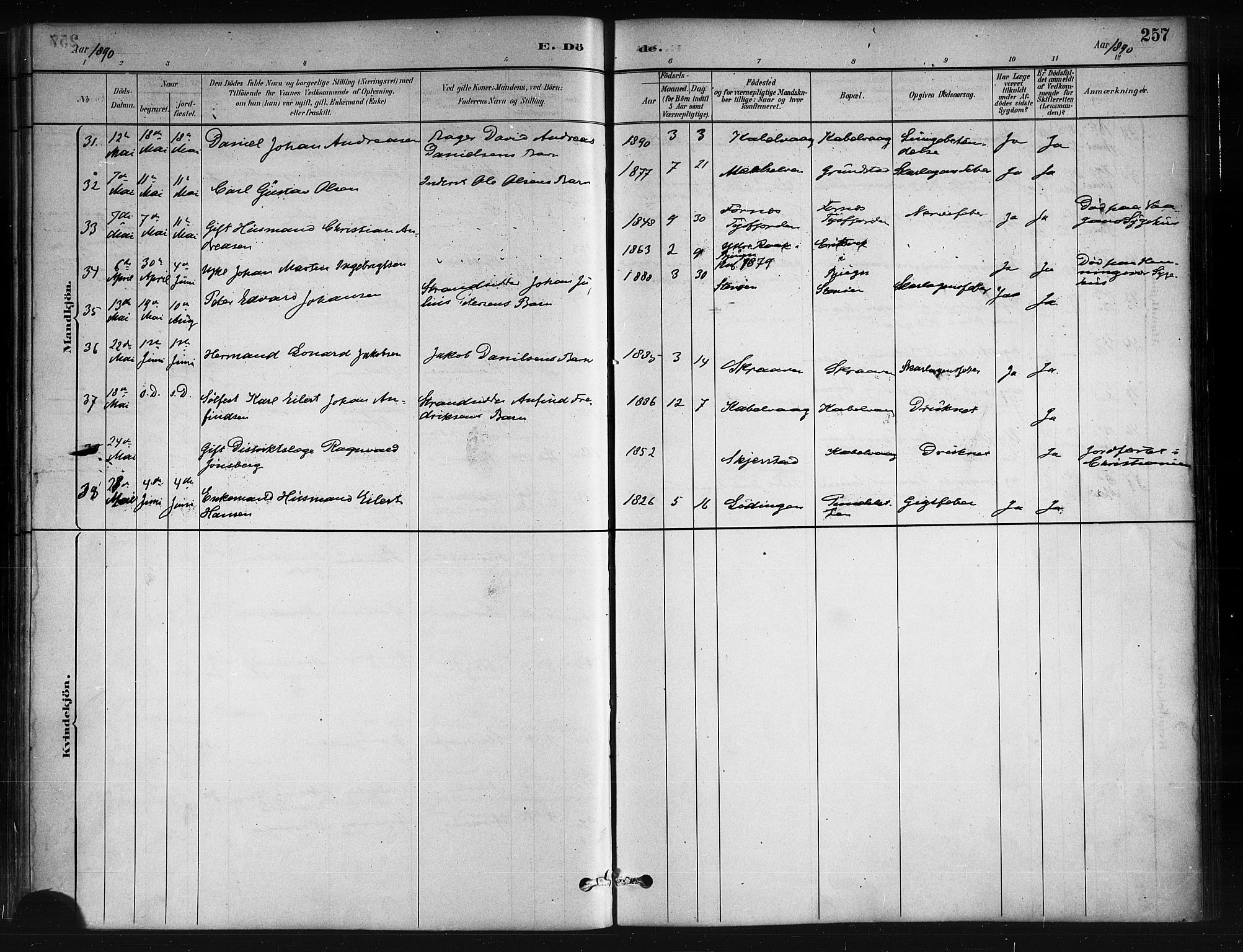 Ministerialprotokoller, klokkerbøker og fødselsregistre - Nordland, AV/SAT-A-1459/874/L1059: Parish register (official) no. 874A03, 1884-1890, p. 257