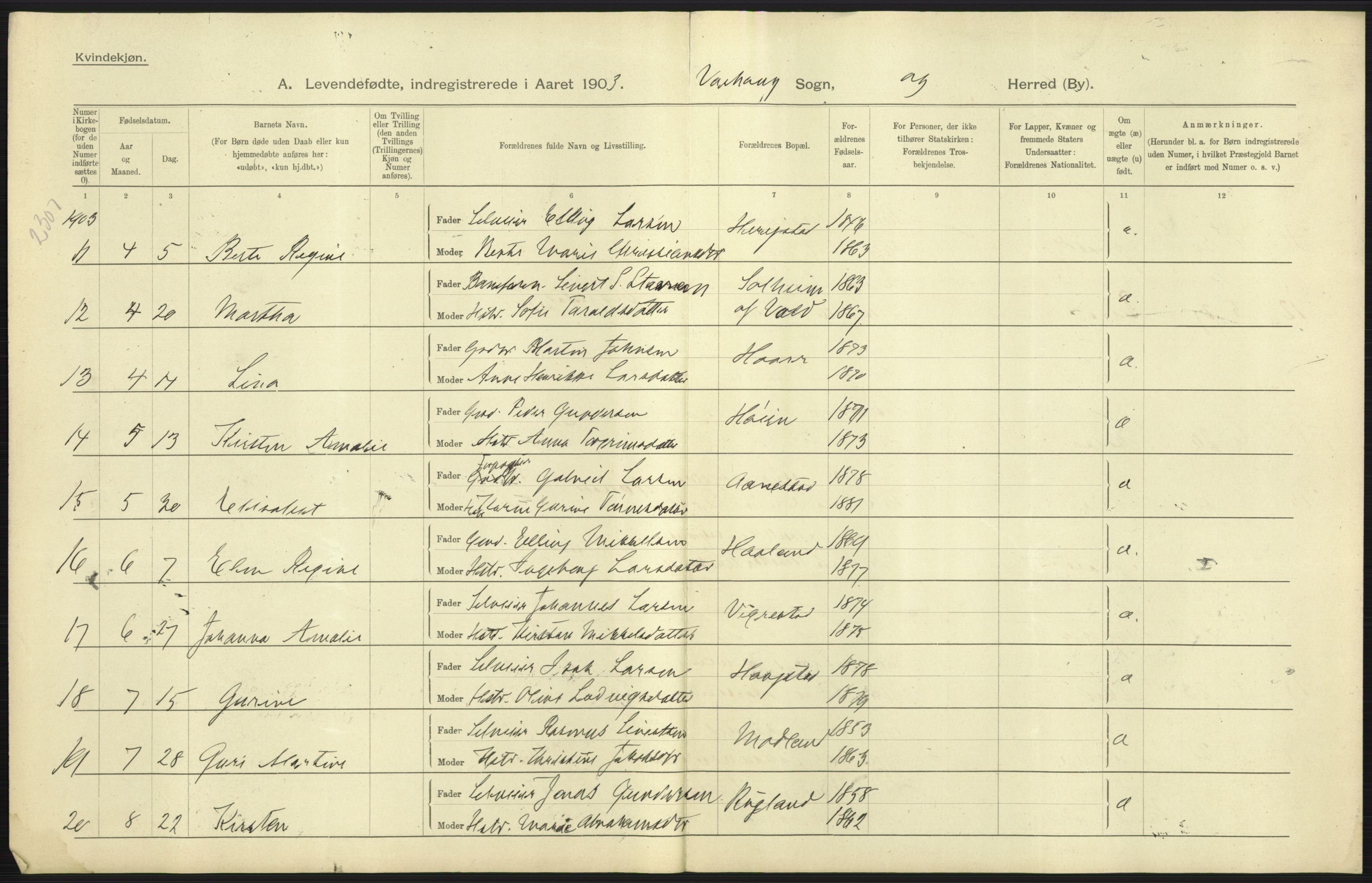 Statistisk sentralbyrå, Sosiodemografiske emner, Befolkning, AV/RA-S-2228/D/Df/Dfa/Dfaa/L0012: Stavanger amt: Fødte, gifte, døde, 1903, p. 51