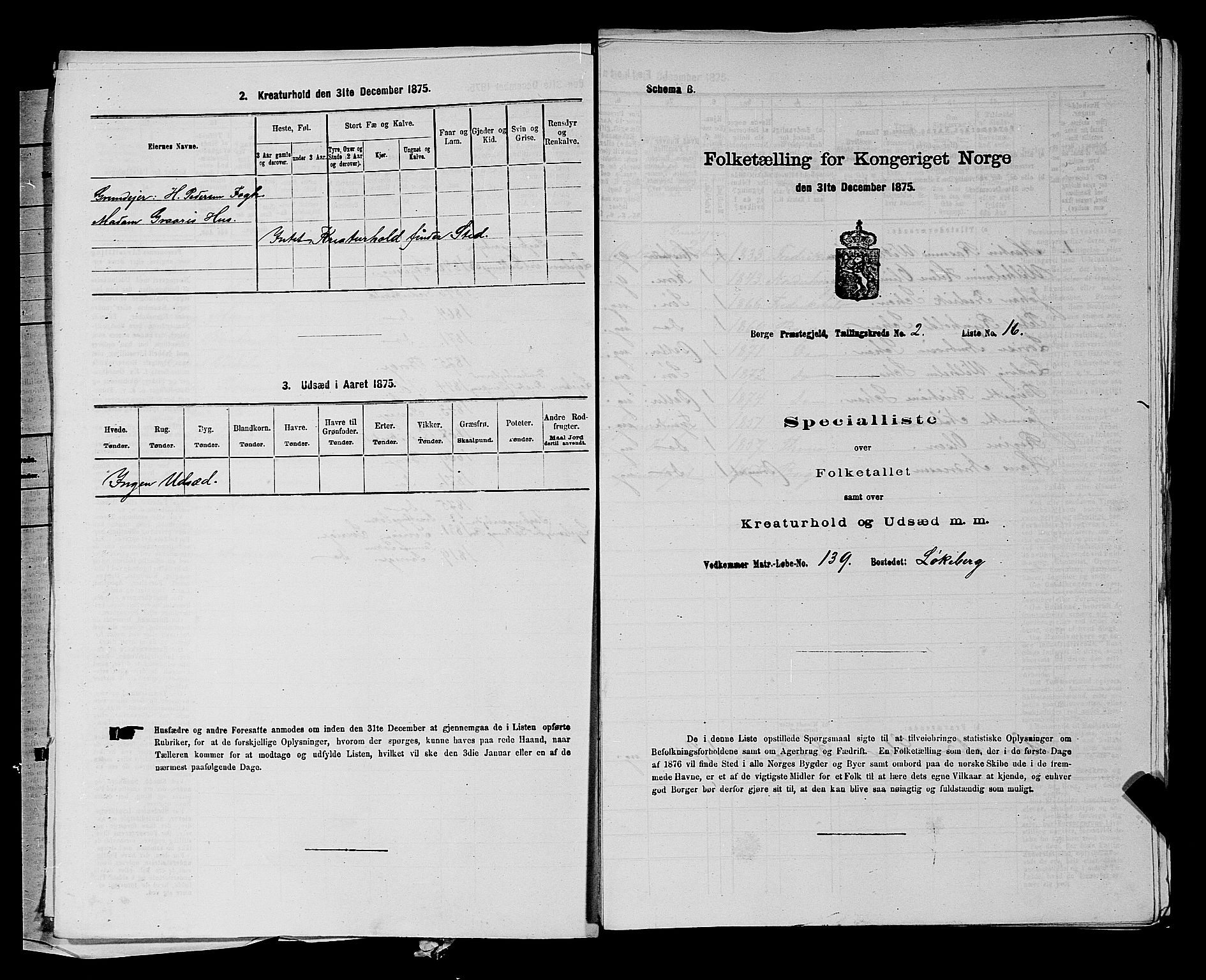 RA, 1875 census for 0113P Borge, 1875, p. 199