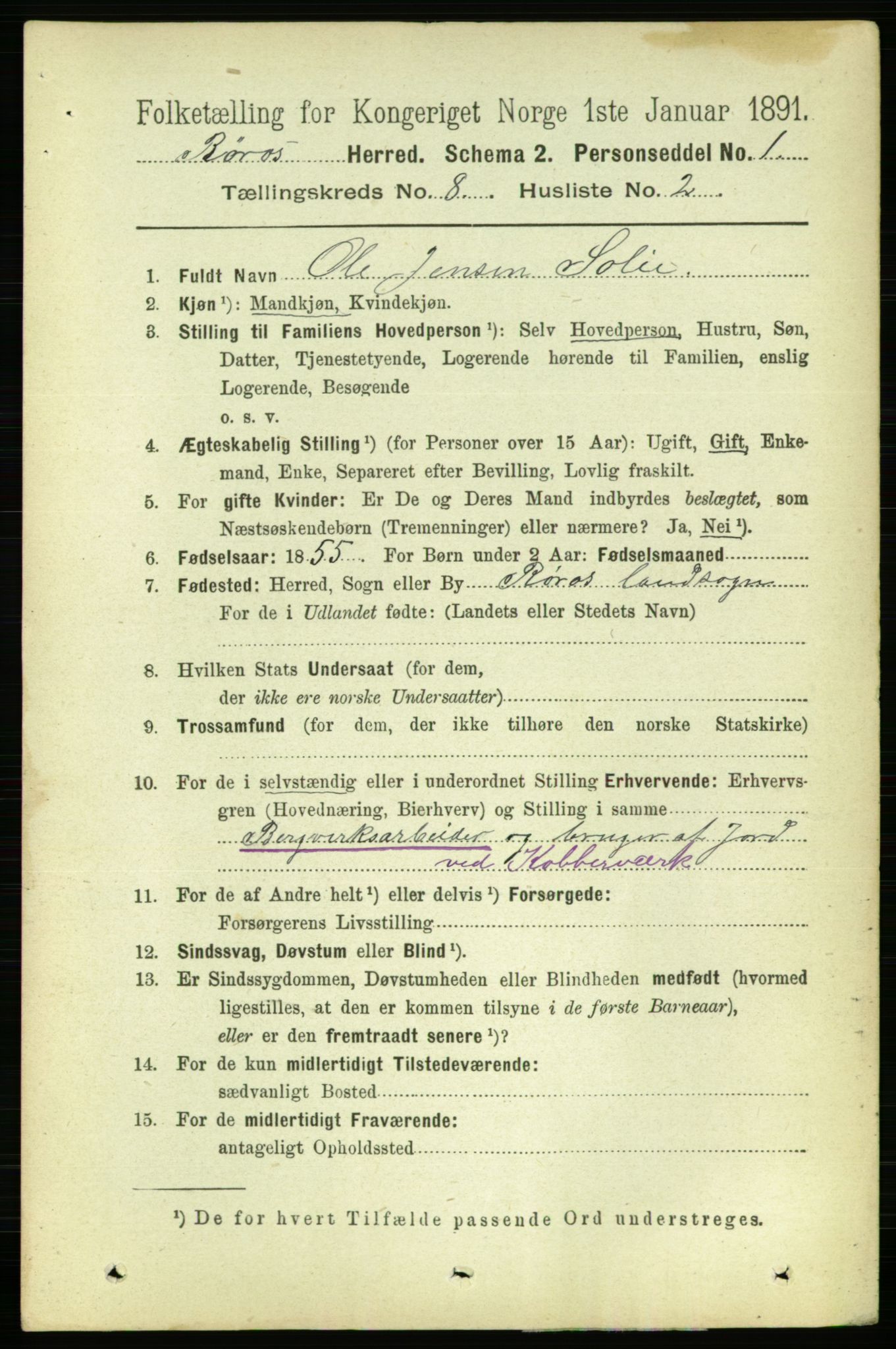 RA, 1891 census for 1640 Røros, 1891, p. 1611