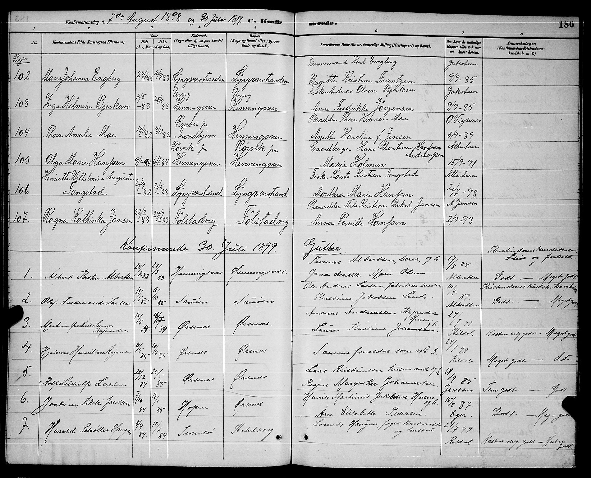 Ministerialprotokoller, klokkerbøker og fødselsregistre - Nordland, AV/SAT-A-1459/874/L1077: Parish register (copy) no. 874C06, 1891-1900, p. 186