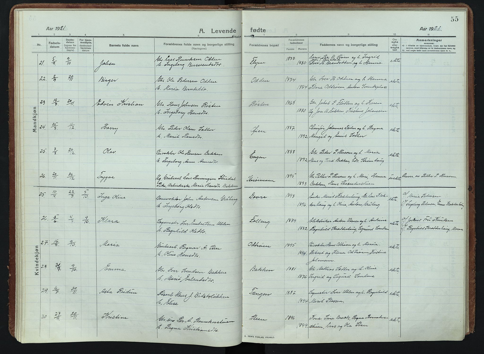 Alvdal prestekontor, AV/SAH-PREST-060/H/Ha/Haa/L0005: Parish register (official) no. 5, 1913-1930, p. 55