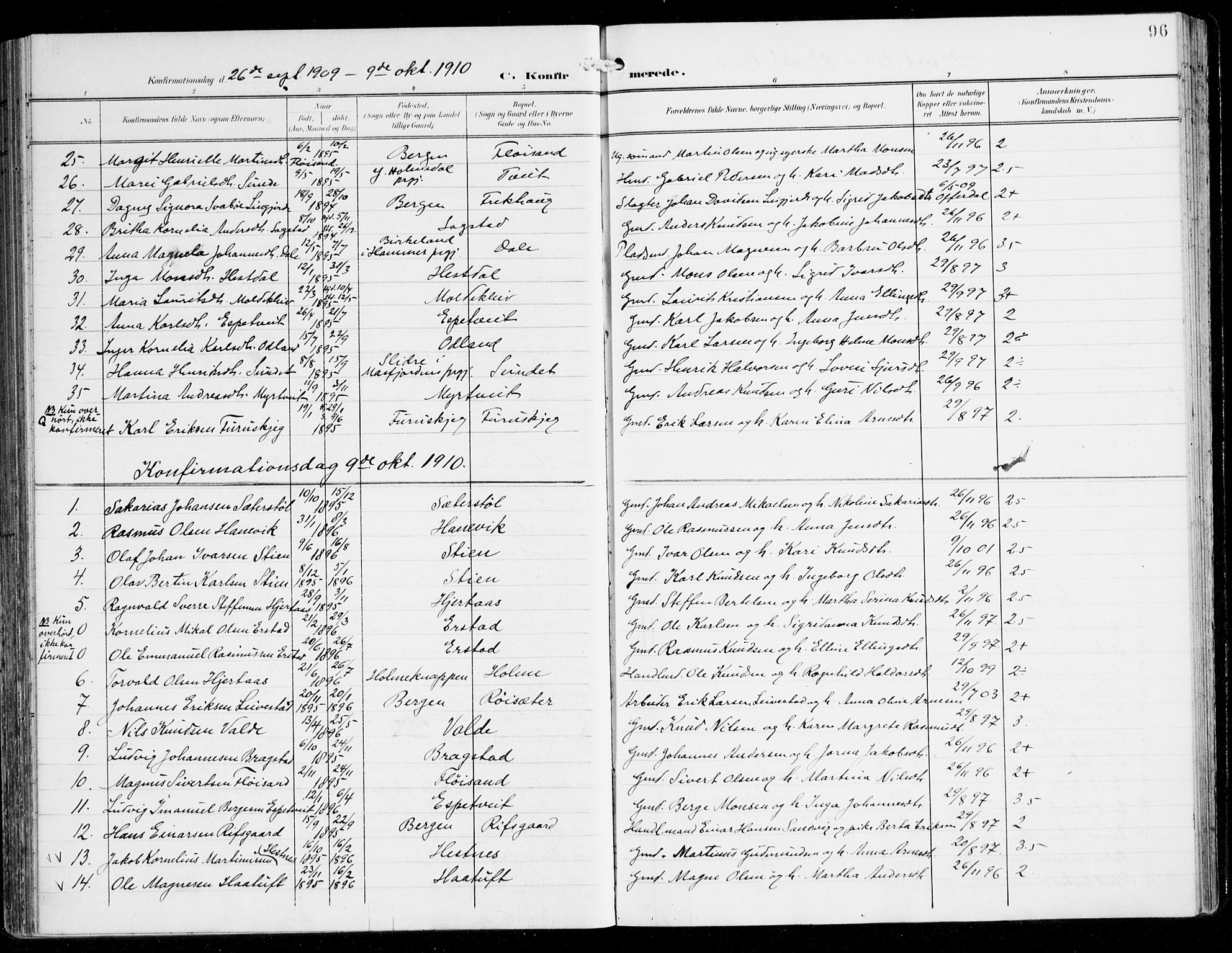 Alversund Sokneprestembete, AV/SAB-A-73901/H/Ha/Haa/Haac/L0002: Parish register (official) no. C 2, 1901-1921, p. 96