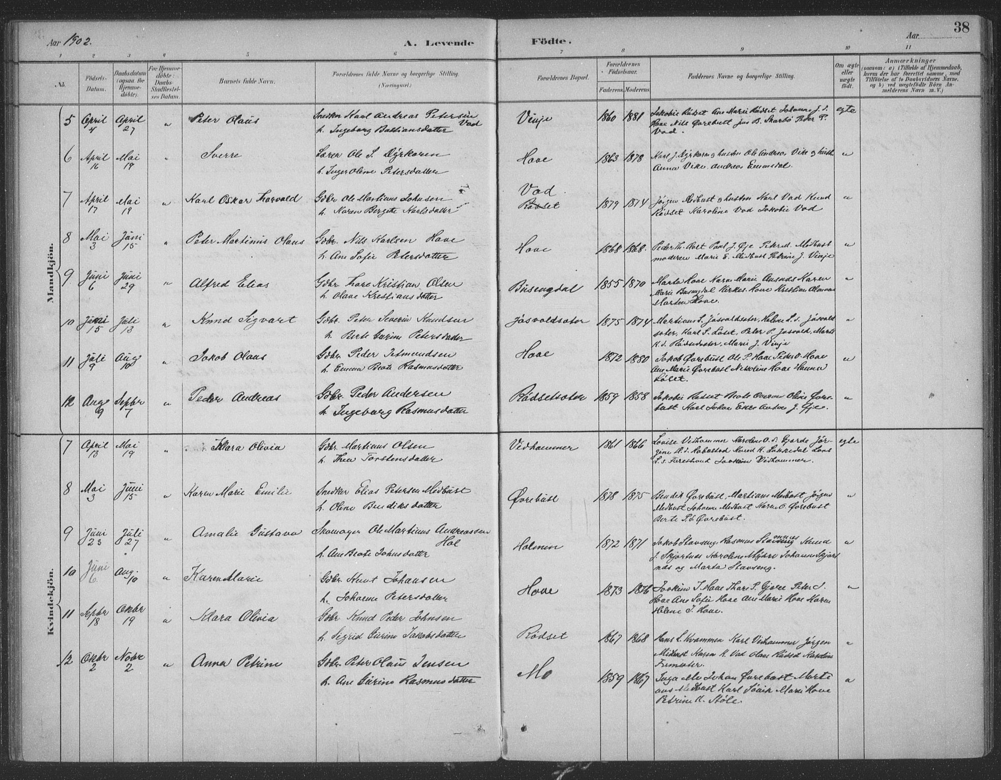 Ministerialprotokoller, klokkerbøker og fødselsregistre - Møre og Romsdal, SAT/A-1454/521/L0299: Parish register (official) no. 521A01, 1882-1907, p. 38
