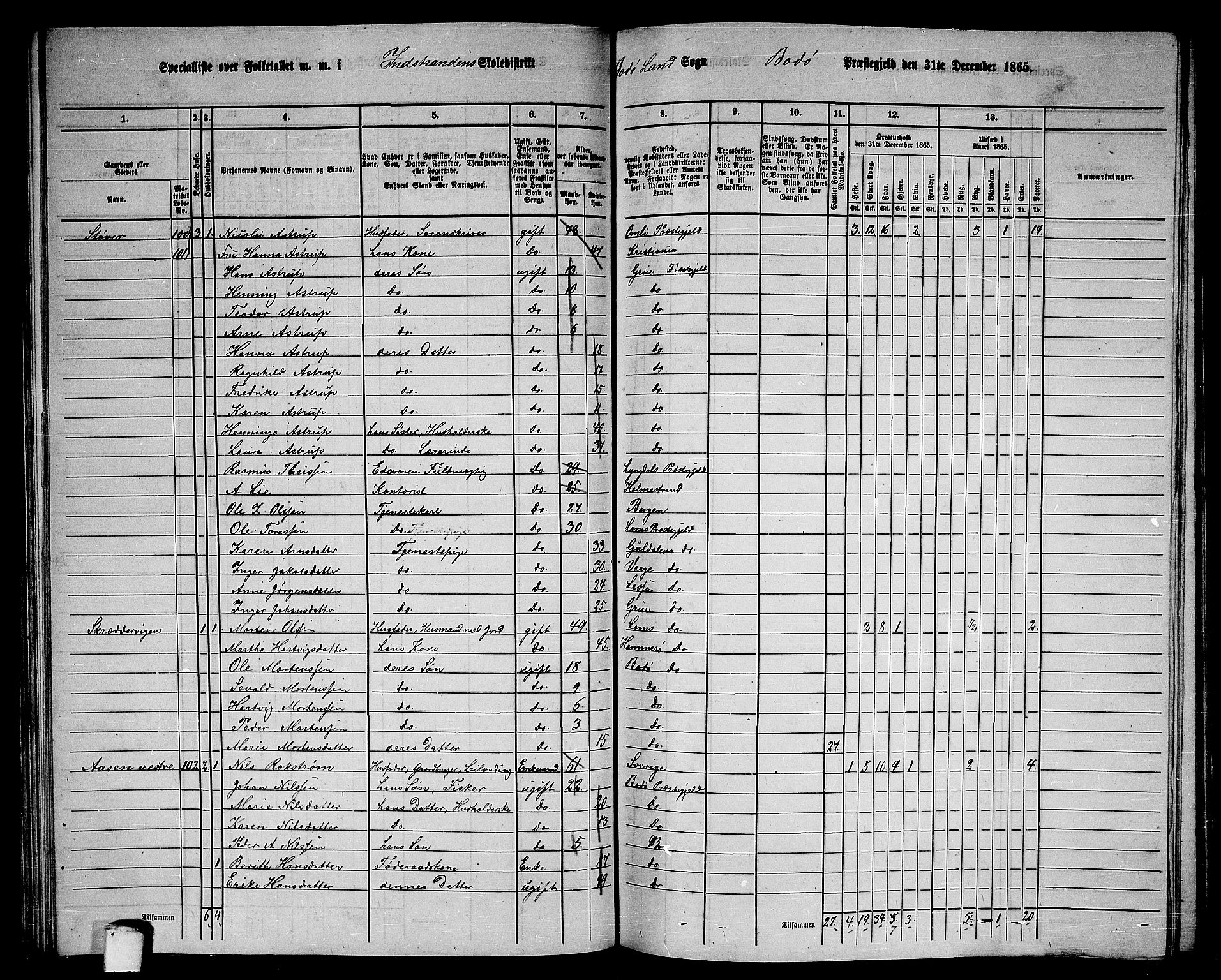 RA, 1865 census for Bodø/Bodø, 1865, p. 60