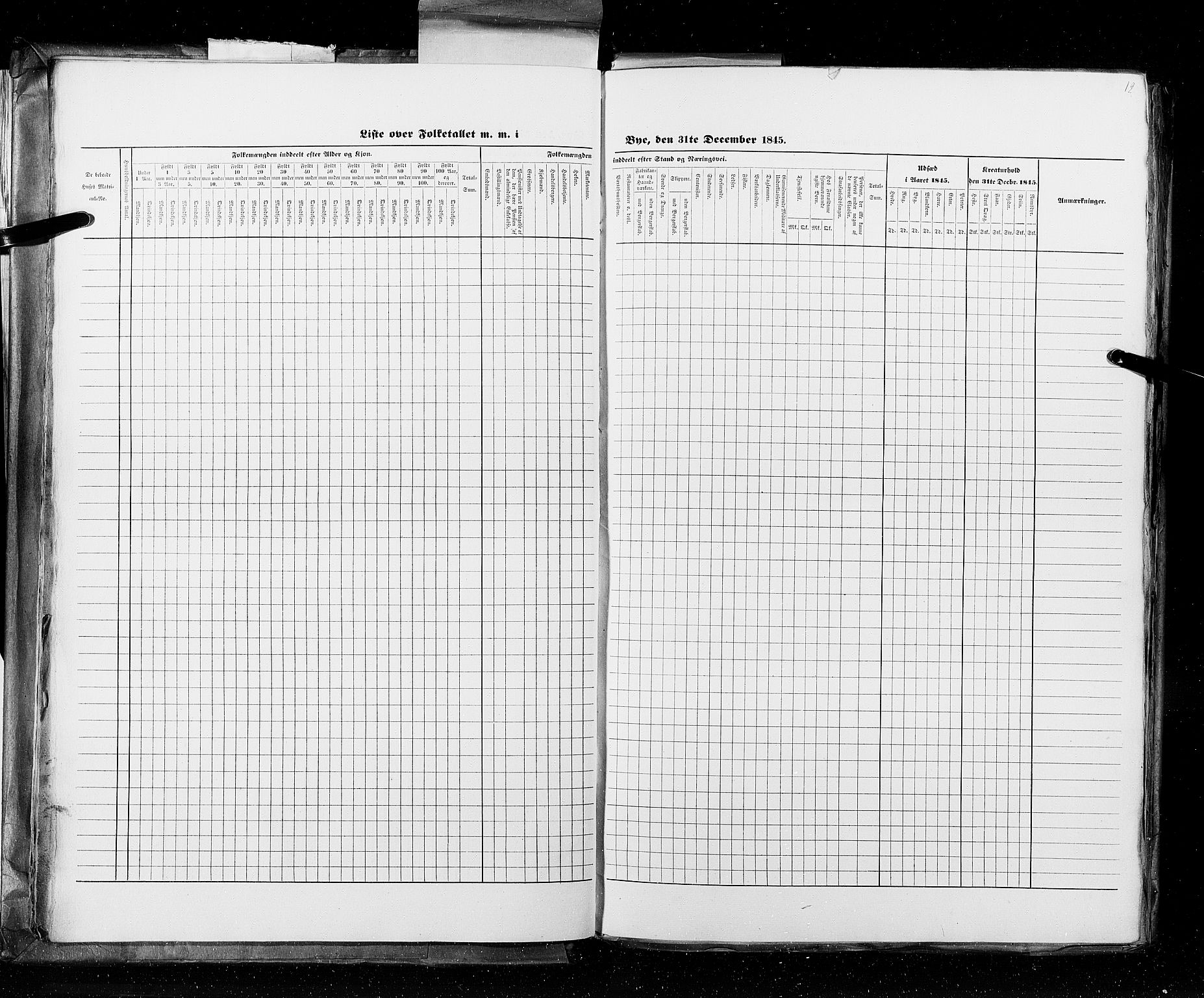 RA, Census 1845, vol. 11: Cities, 1845, p. 12