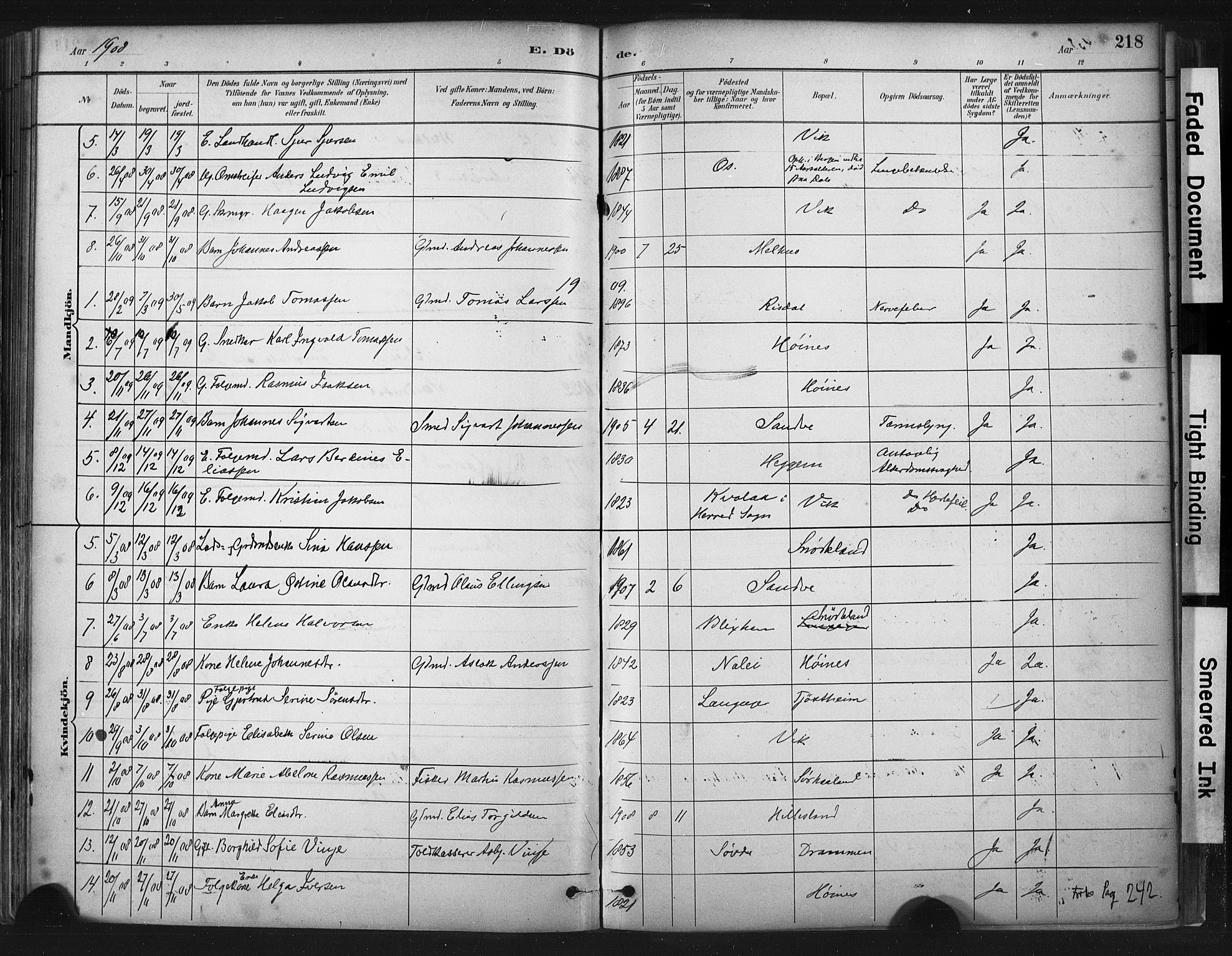 Skudenes sokneprestkontor, SAST/A -101849/H/Ha/Haa/L0009: Parish register (official) no. A 6, 1882-1912, p. 218