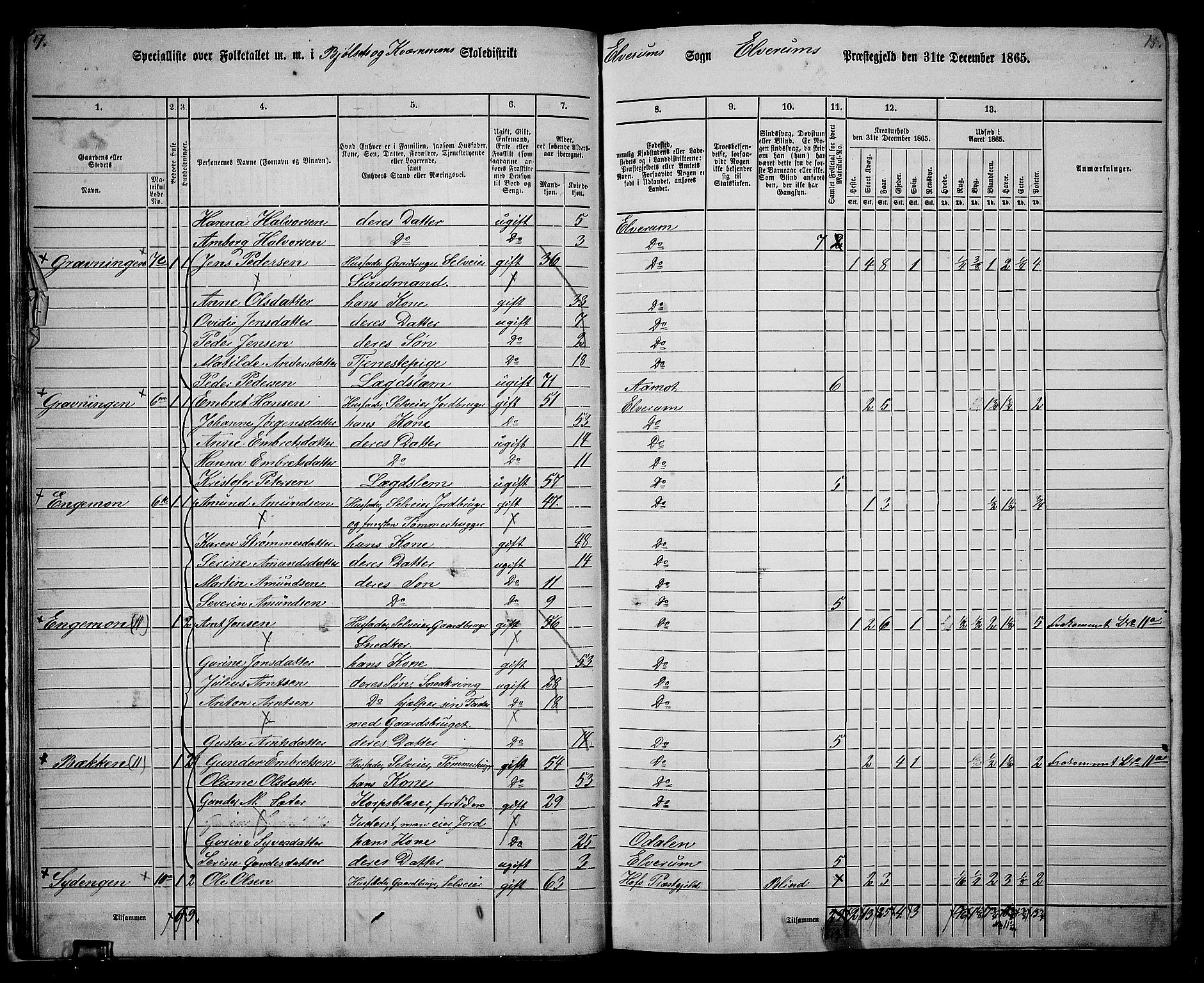 RA, 1865 census for Elverum, 1865, p. 20