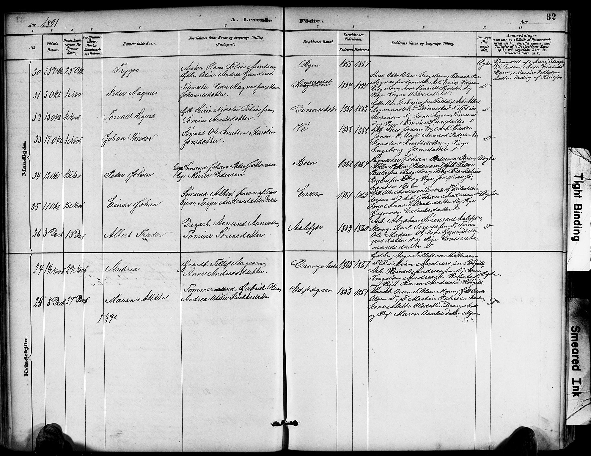 Tveit sokneprestkontor, AV/SAK-1111-0043/F/Fb/L0004: Parish register (copy) no. B 4, 1887-1914, p. 32